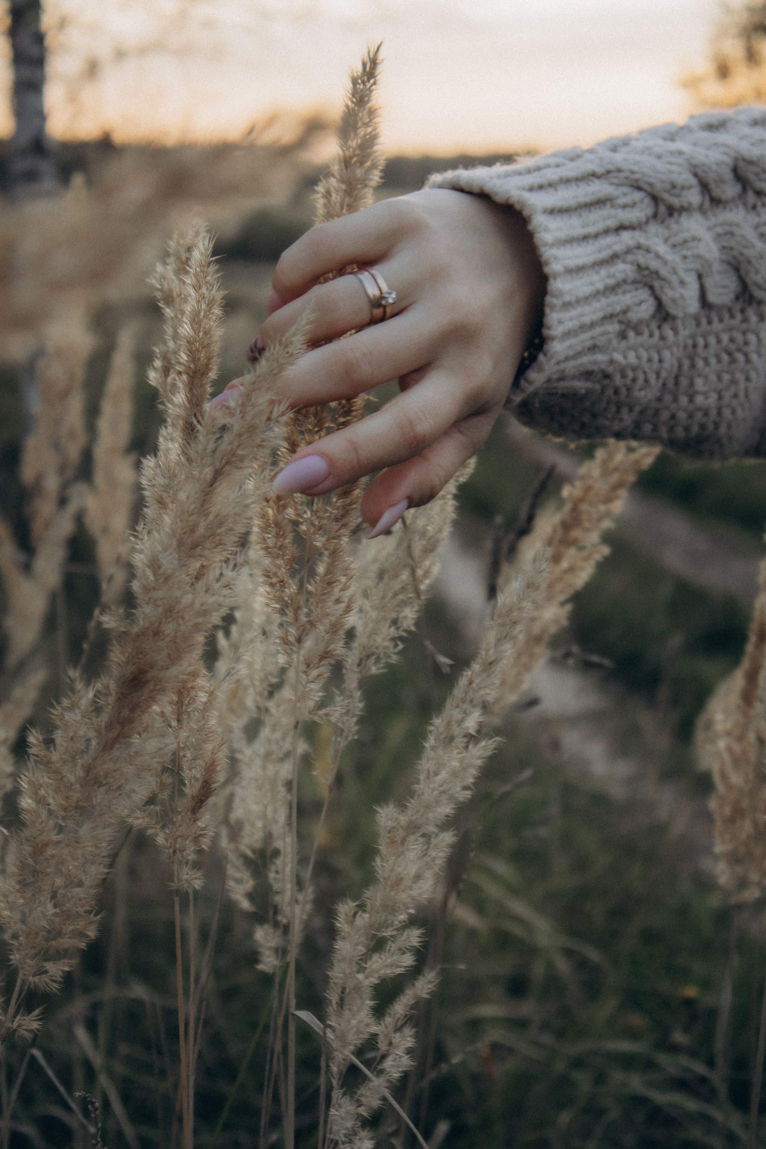 Юля. Осенняя фотосессия в поле. Юлия Левада Семейный и женский фотограф