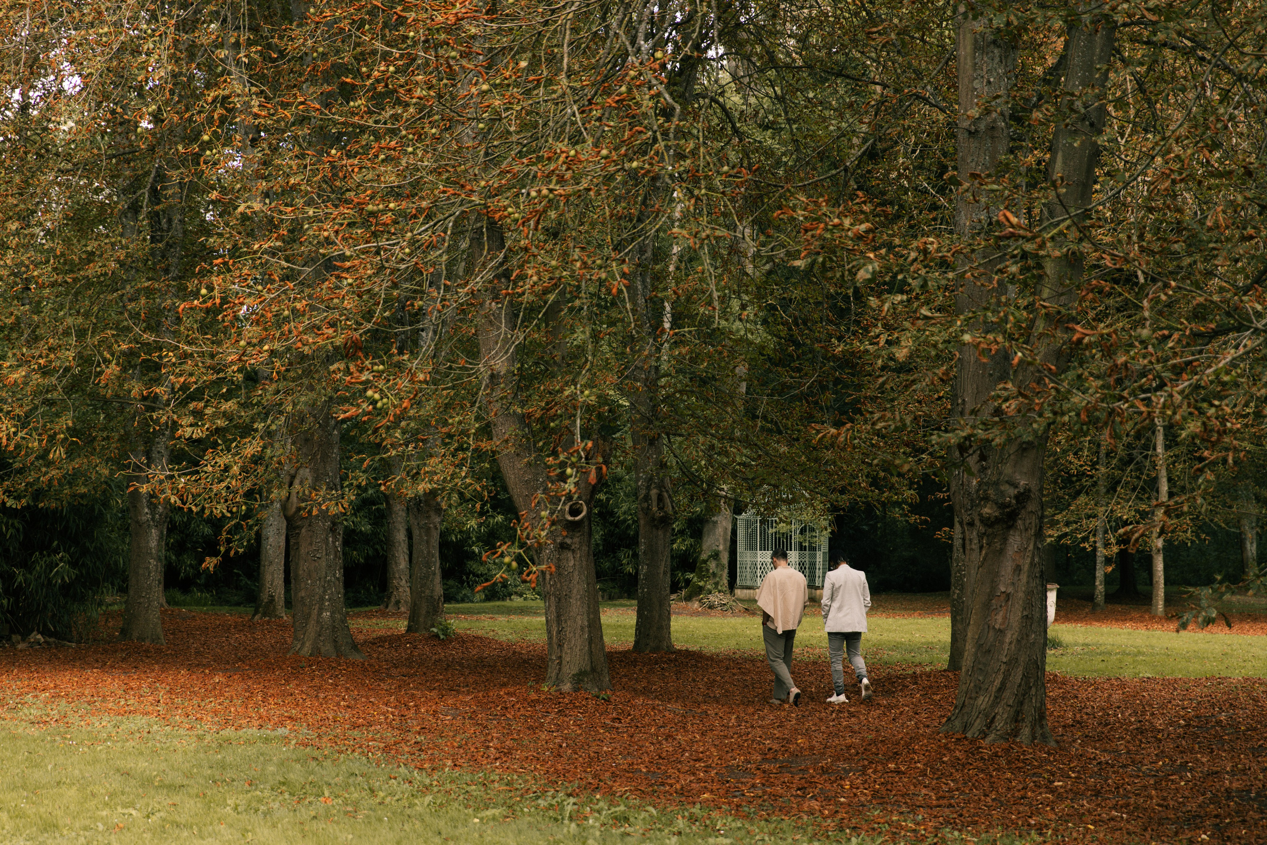 Le Moulin Jaune. Photographe à Paris