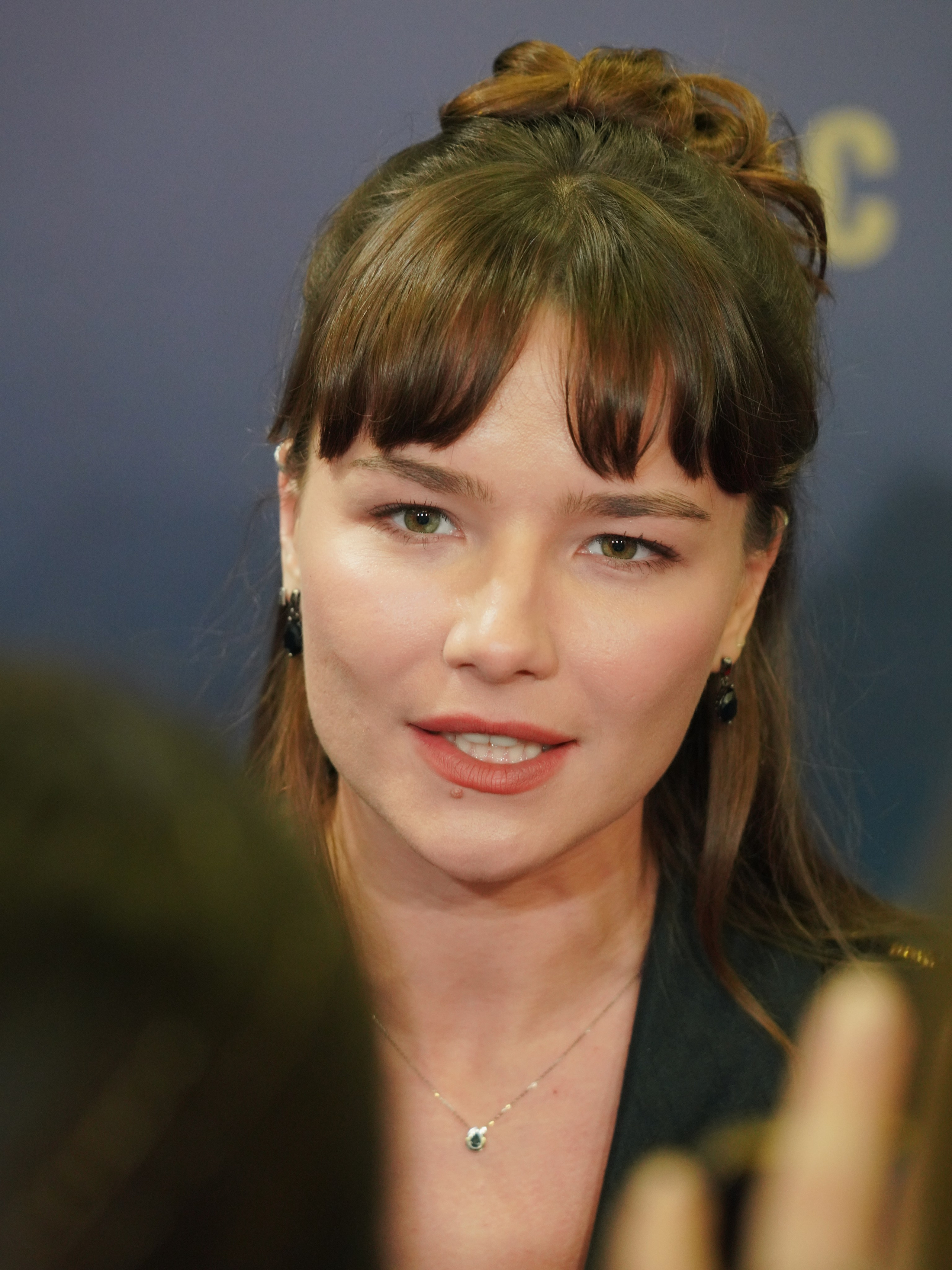 Светская премьера сериала «Тоннель»