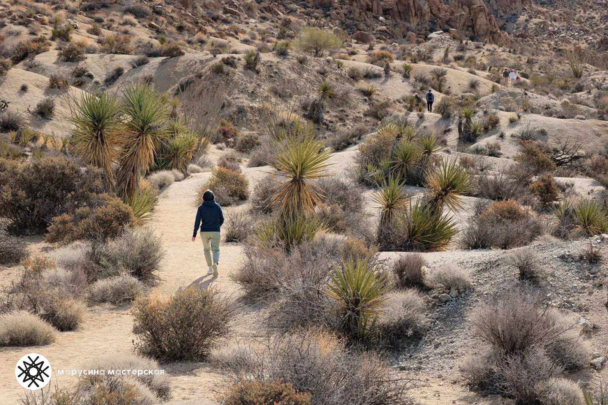 Наталия Шаповалова