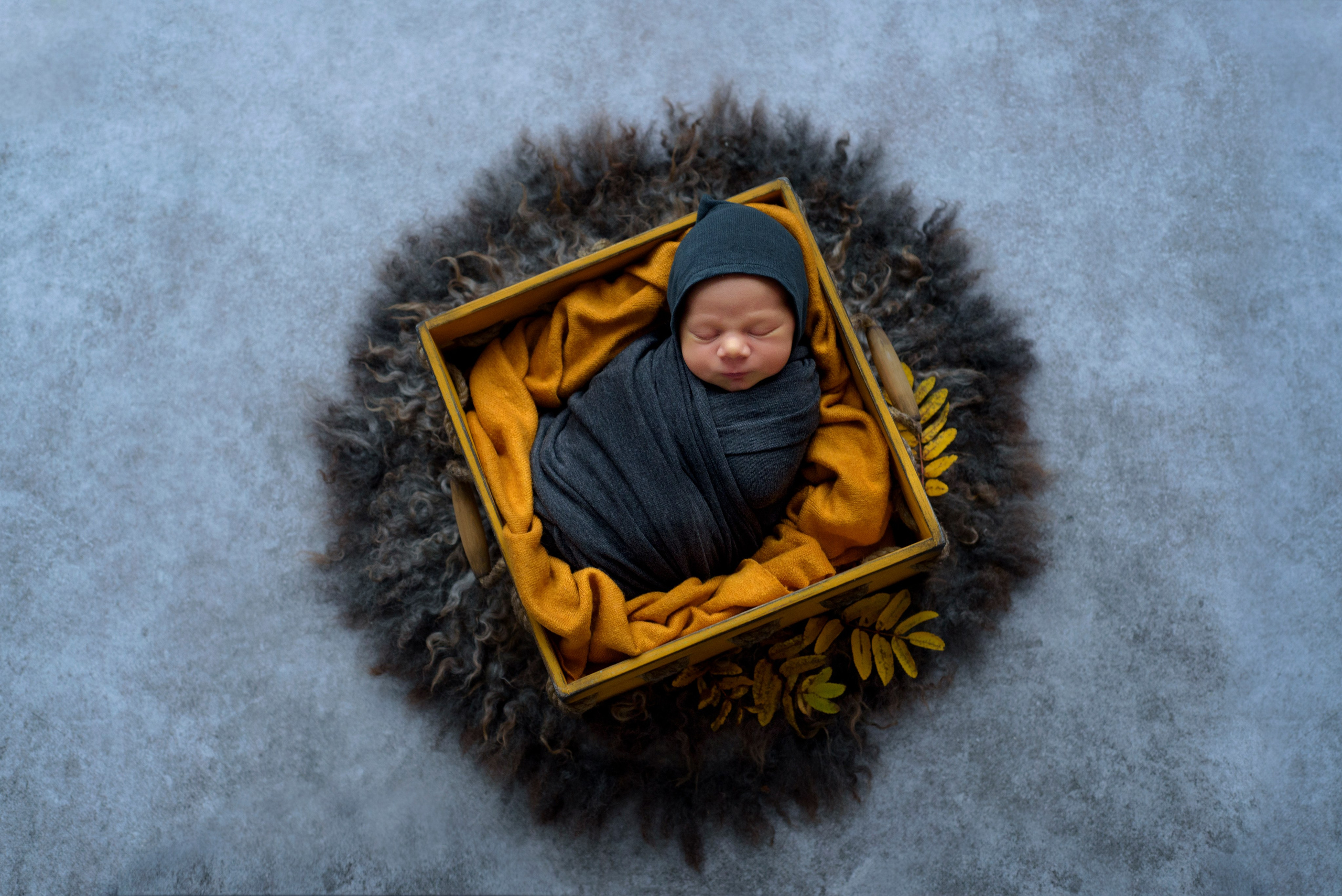 Новорожденные. Фотограф Мария Усманова, Казань