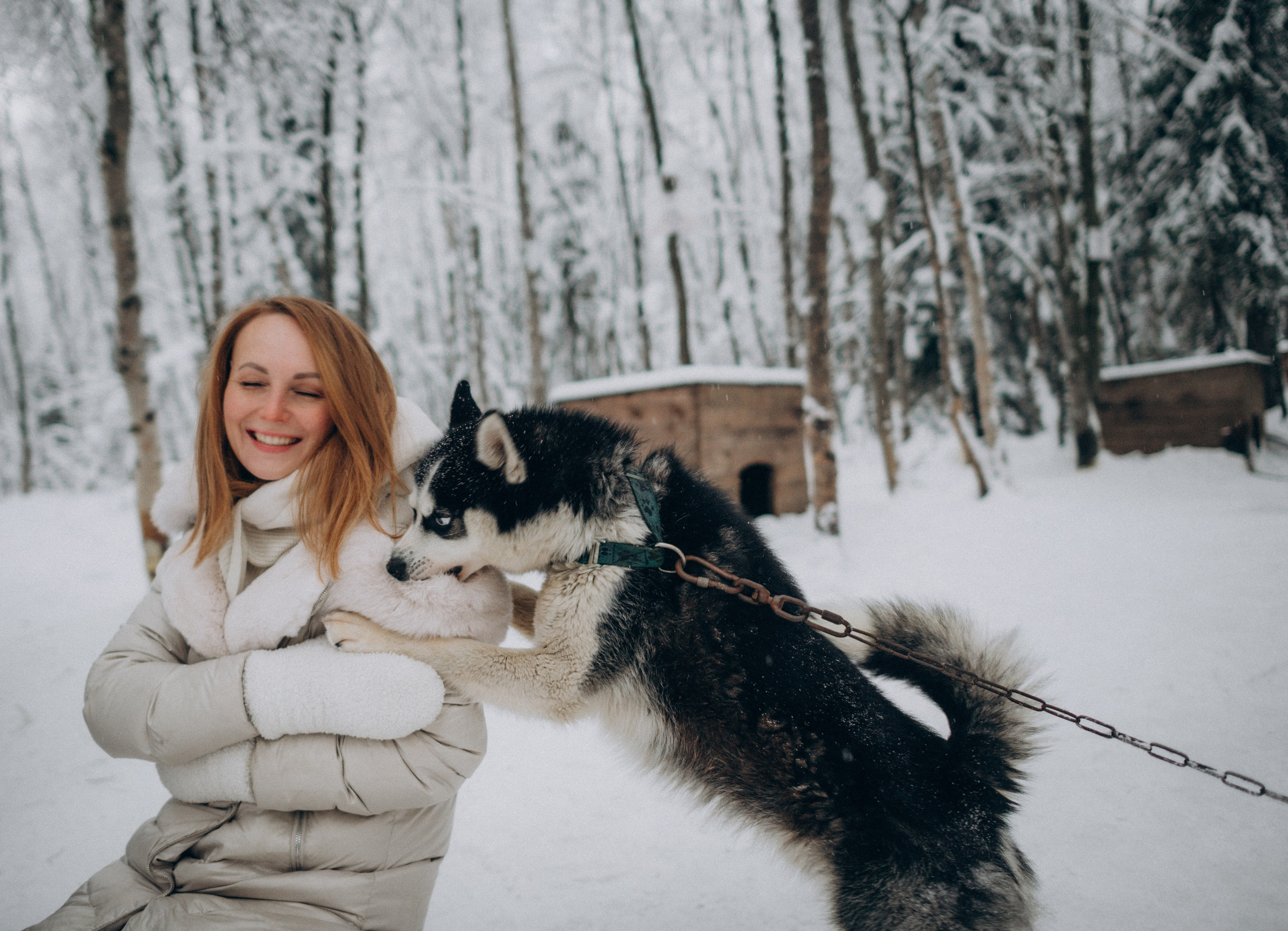 Хаски-терапия. Фотограф Наталья Могилевская Мурманск Териберка Сейдозеро Рыбачий