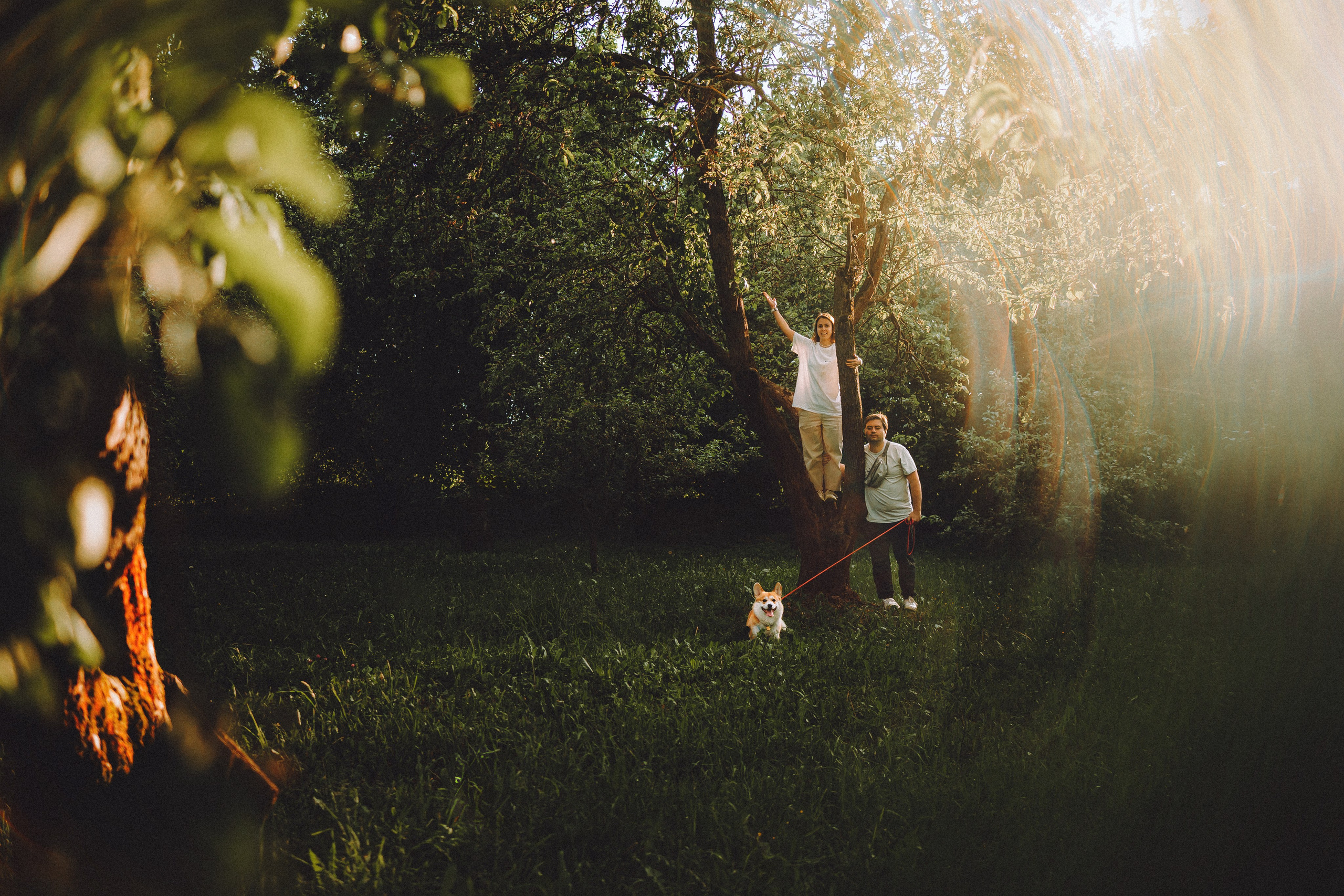 Вирджик и его семья