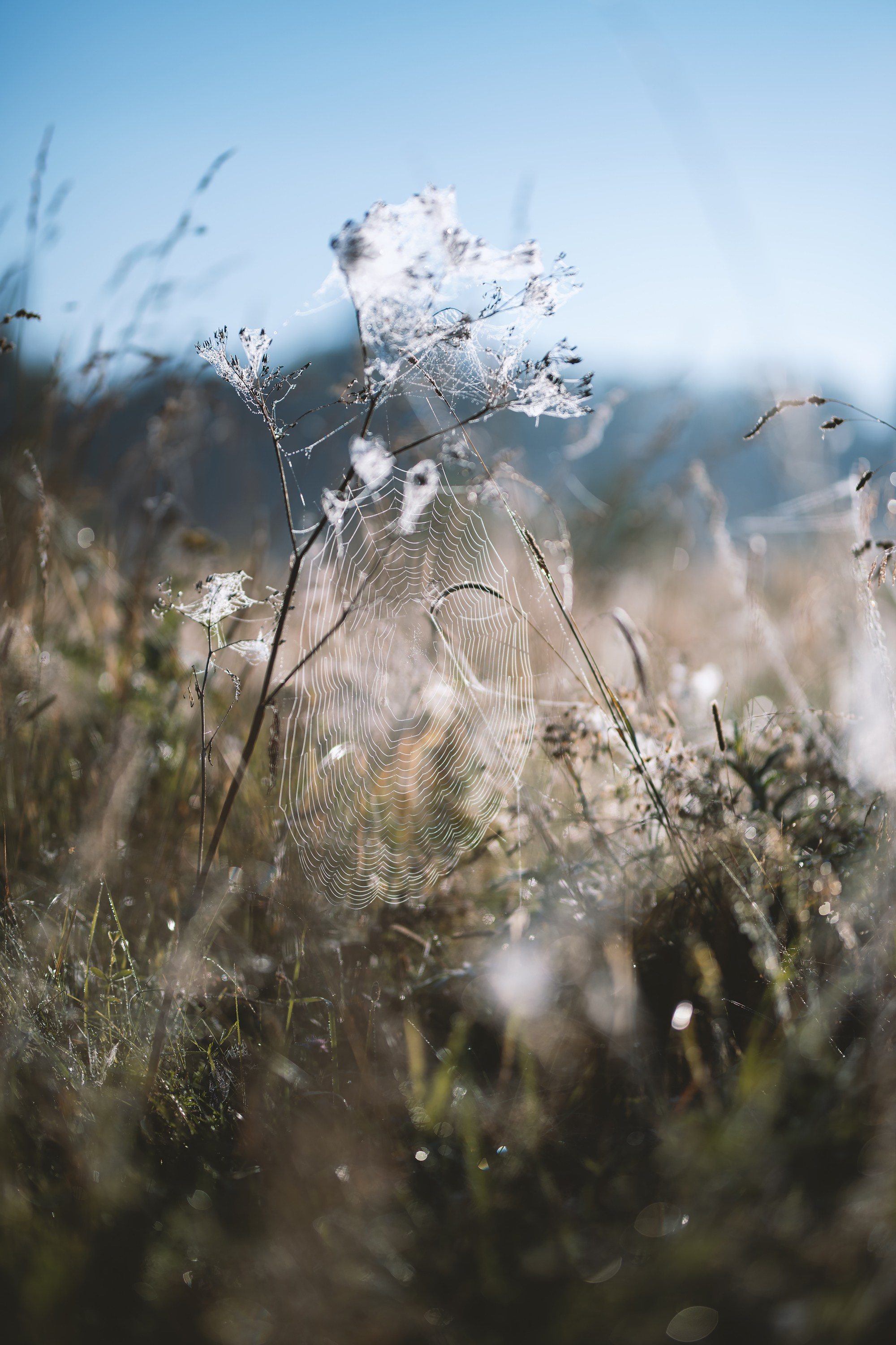 Фотографии Национальный парк Угра. Фотограф спортивные события, недвижимость, турбизнес