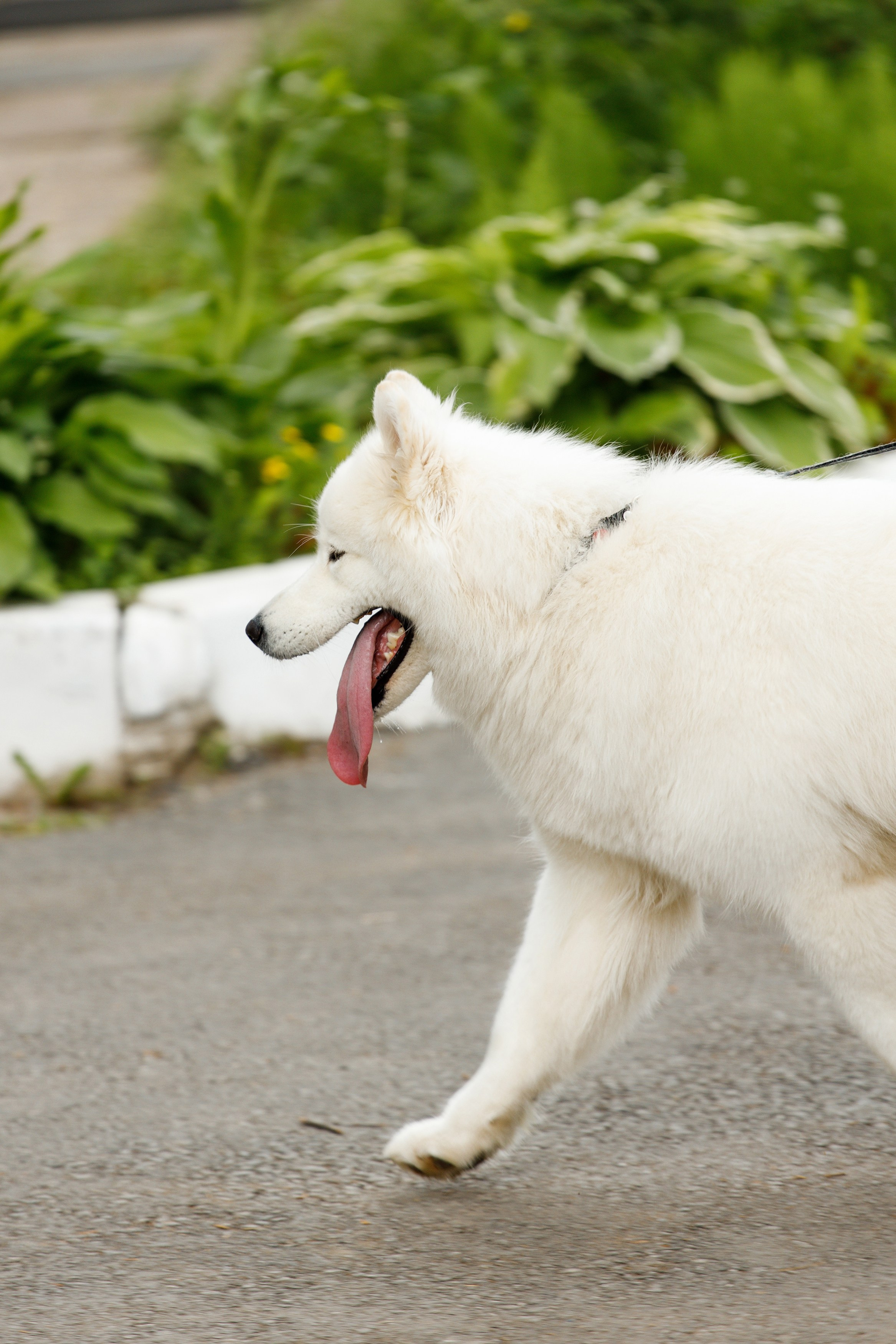 Гутен Таг — лагерь Нечайка. Фотограф Дмитрий Молчанов | Фотограф Пермь | Фотограф