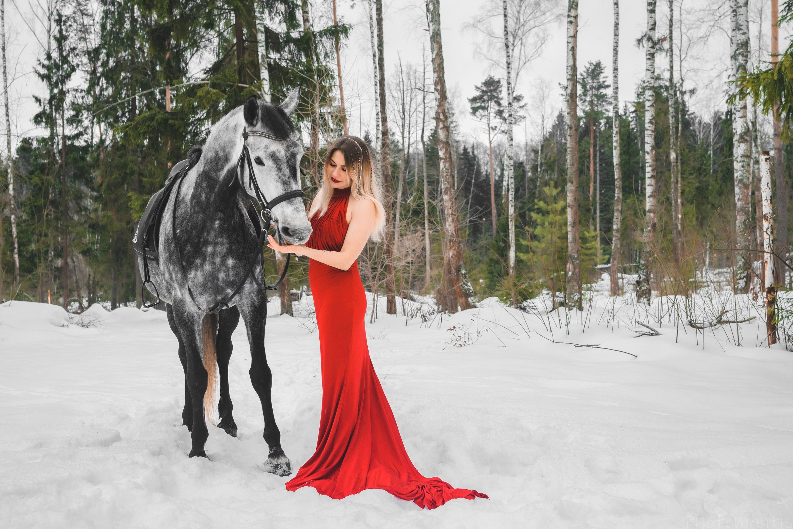 Девушки с лошадками. Photomantis