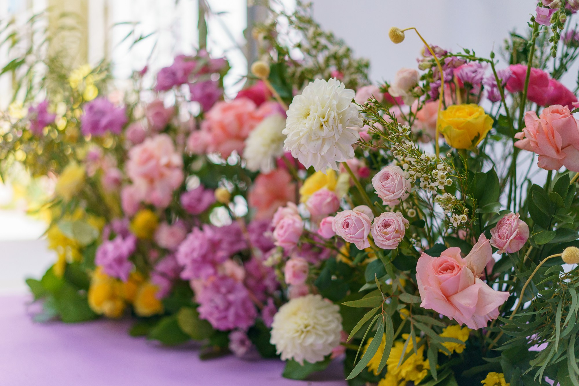 Останови это Лето. Свадебный Видеограф Фотограф в Сочи