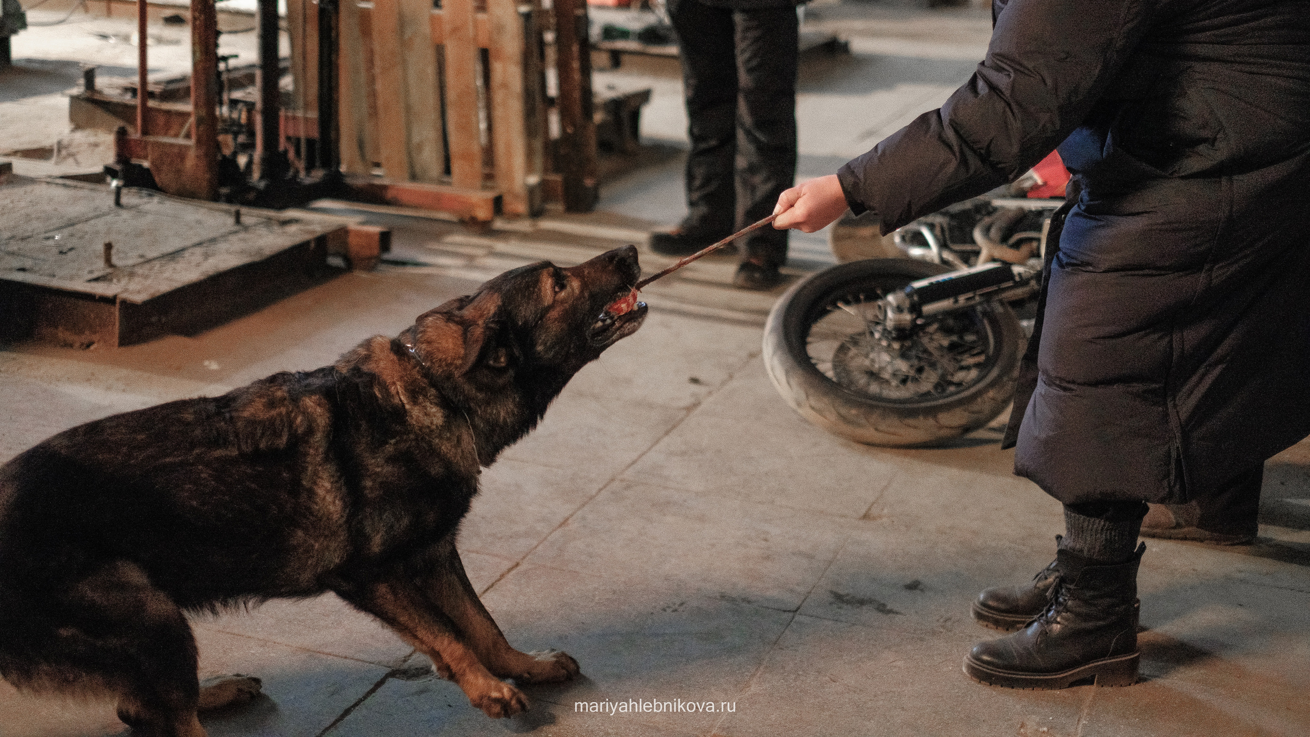 Ивановы Ивановы. Фотограф Мария Хлебникова Санкт-Петербург Москва
