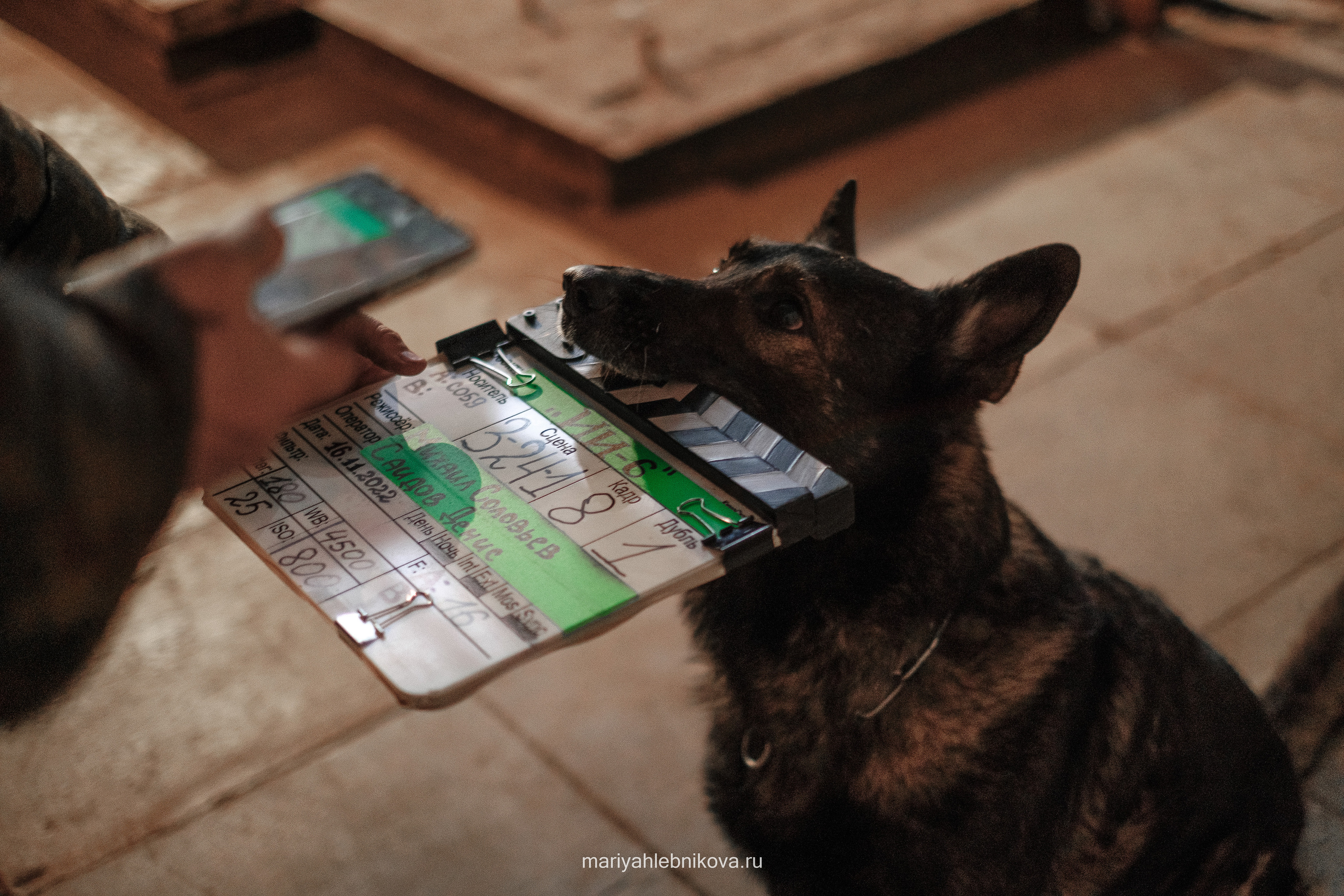 Ивановы Ивановы. Фотограф Мария Хлебникова Санкт-Петербург Москва