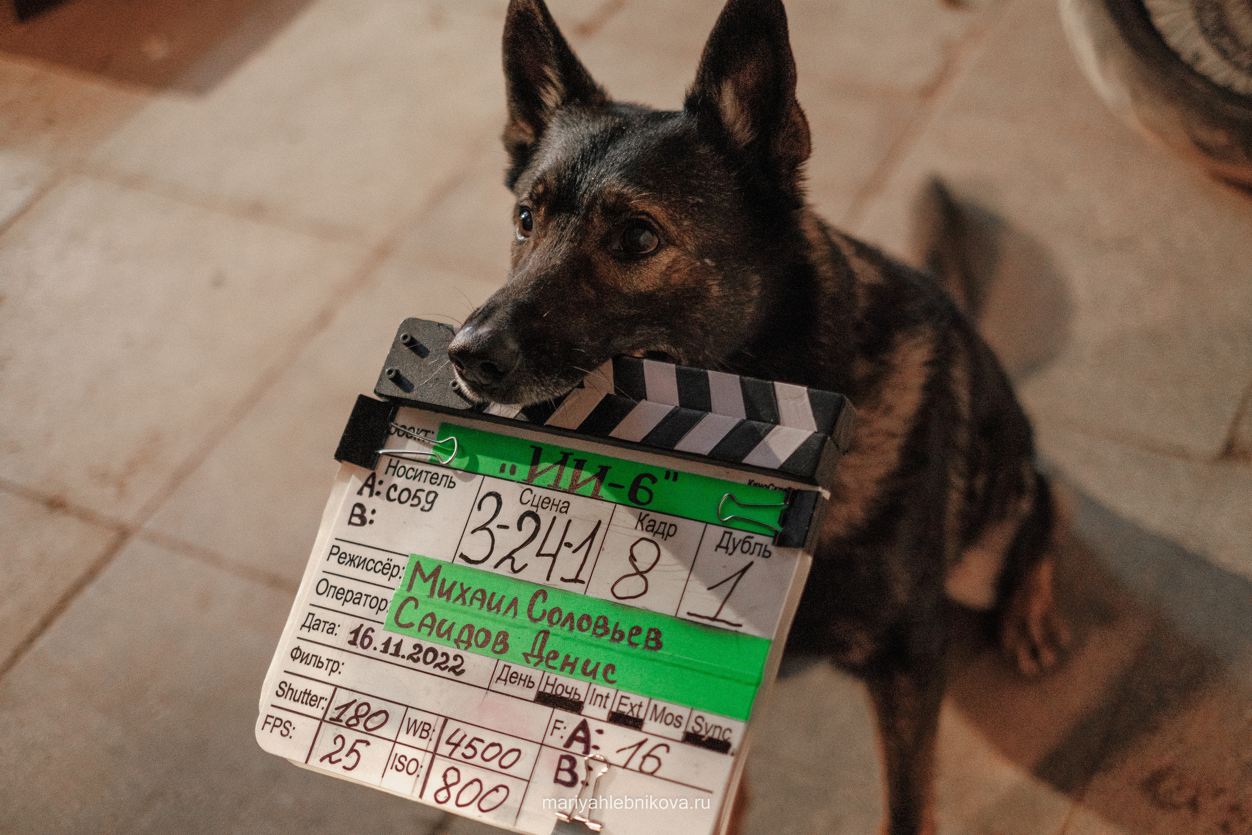 Ивановы Ивановы. Фотограф Мария Хлебникова Санкт-Петербург Москва