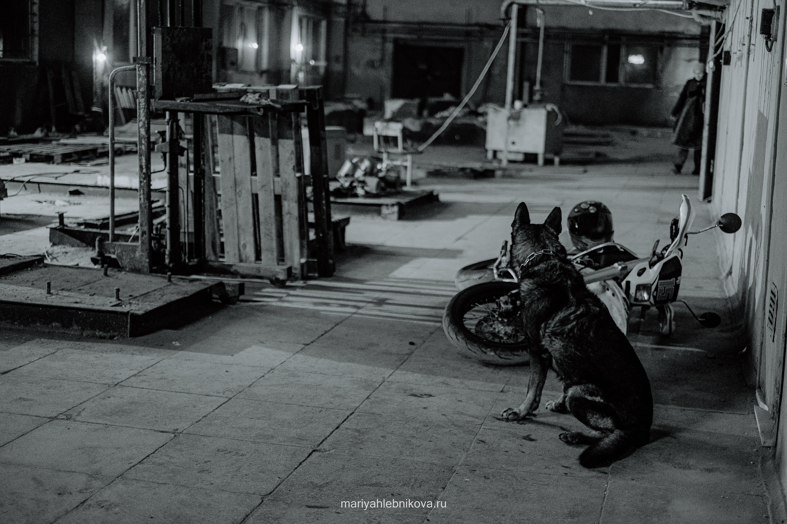 Ивановы Ивановы. Фотограф Мария Хлебникова Санкт-Петербург Москва