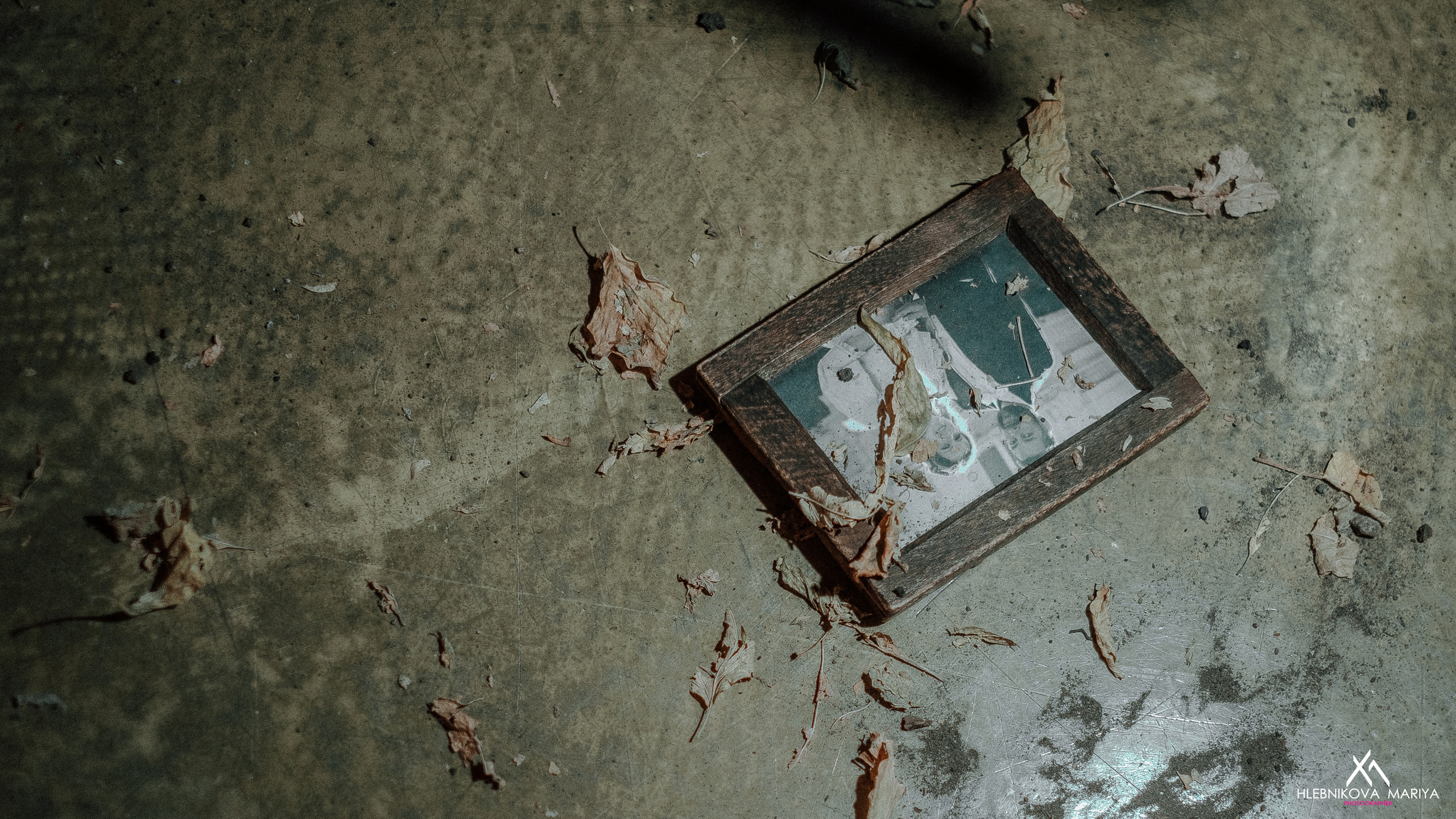 «Меч Тосидзо». Фотограф Мария Хлебникова Санкт-Петербург Москва