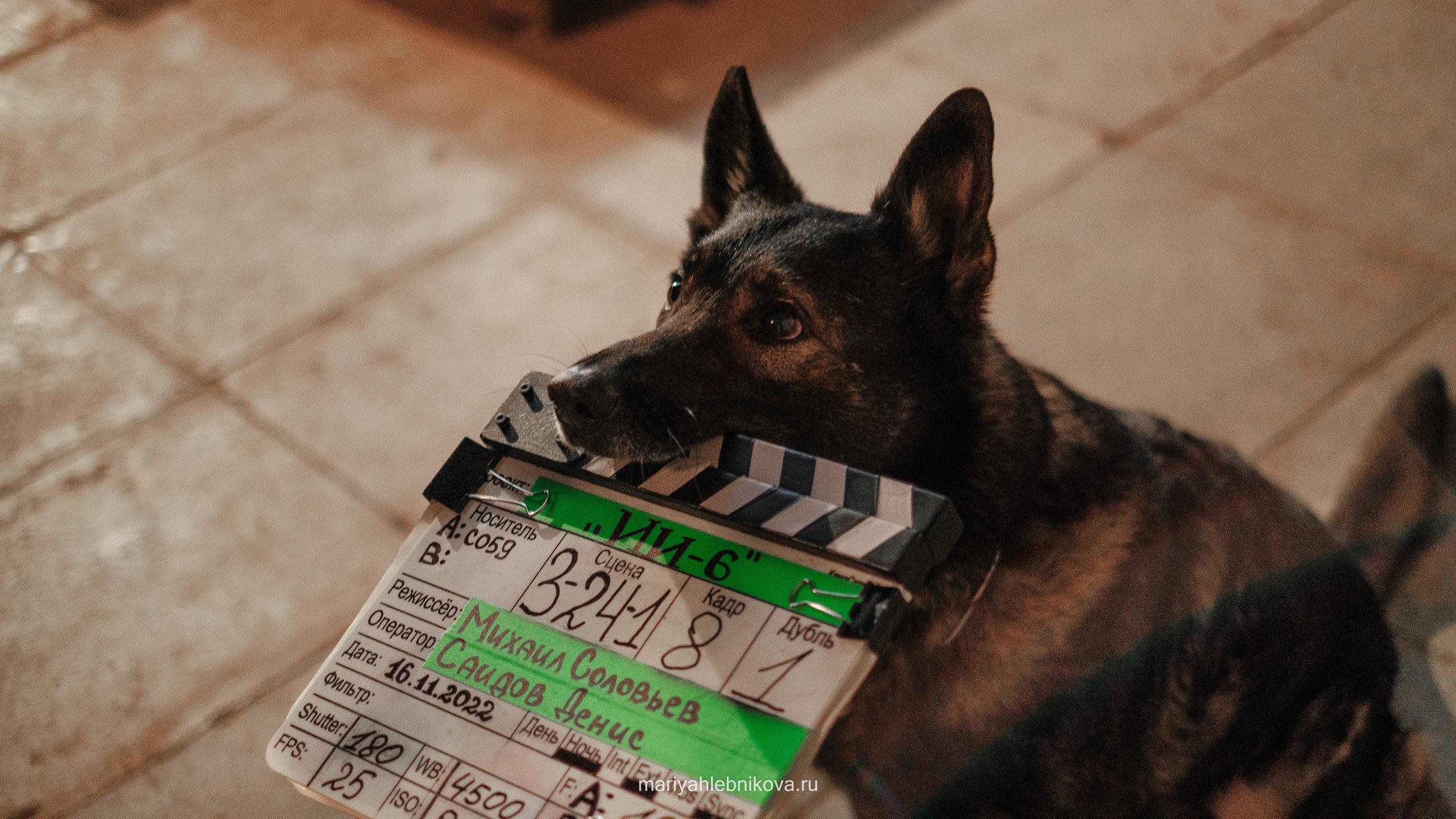 Ивановы Ивановы. Фотограф Мария Хлебникова Санкт-Петербург Москва