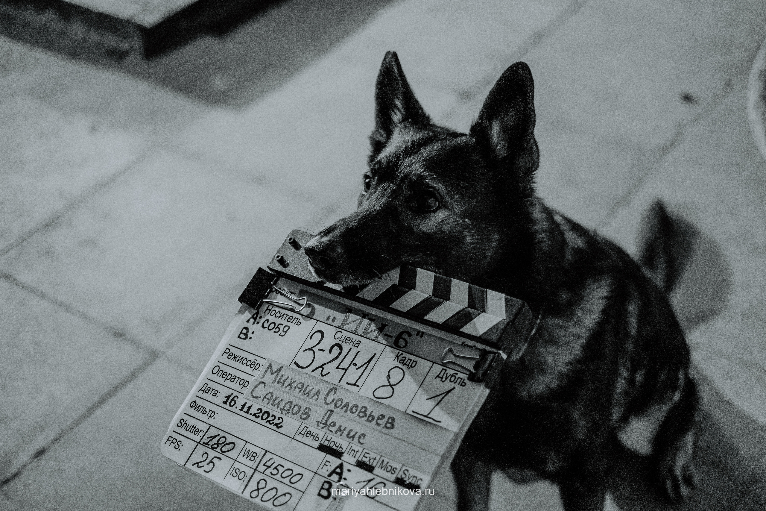 Ивановы Ивановы. Фотограф Мария Хлебникова Санкт-Петербург Москва