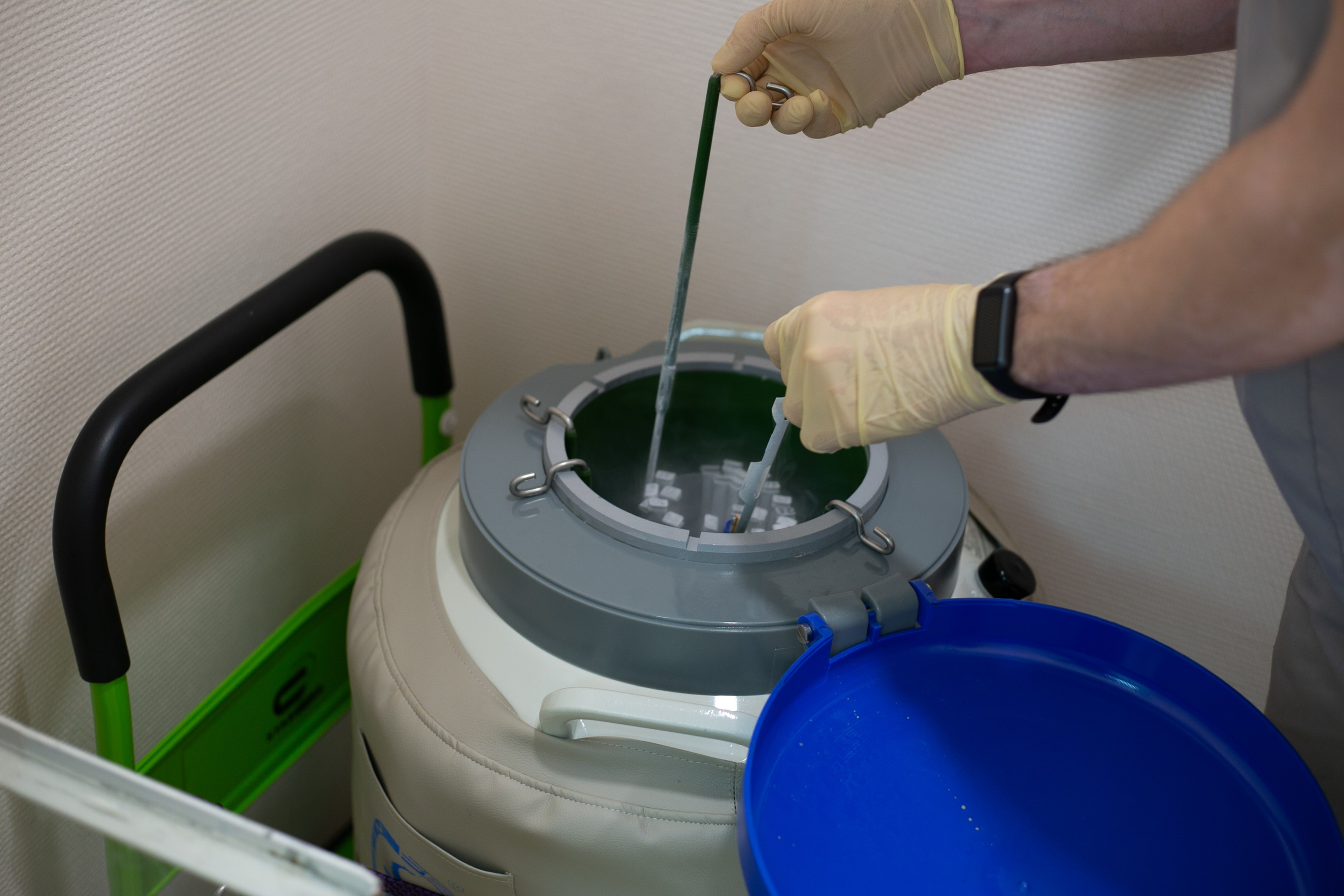 Линии жизни. Фотограф в Новосибирске Краснова Евгения