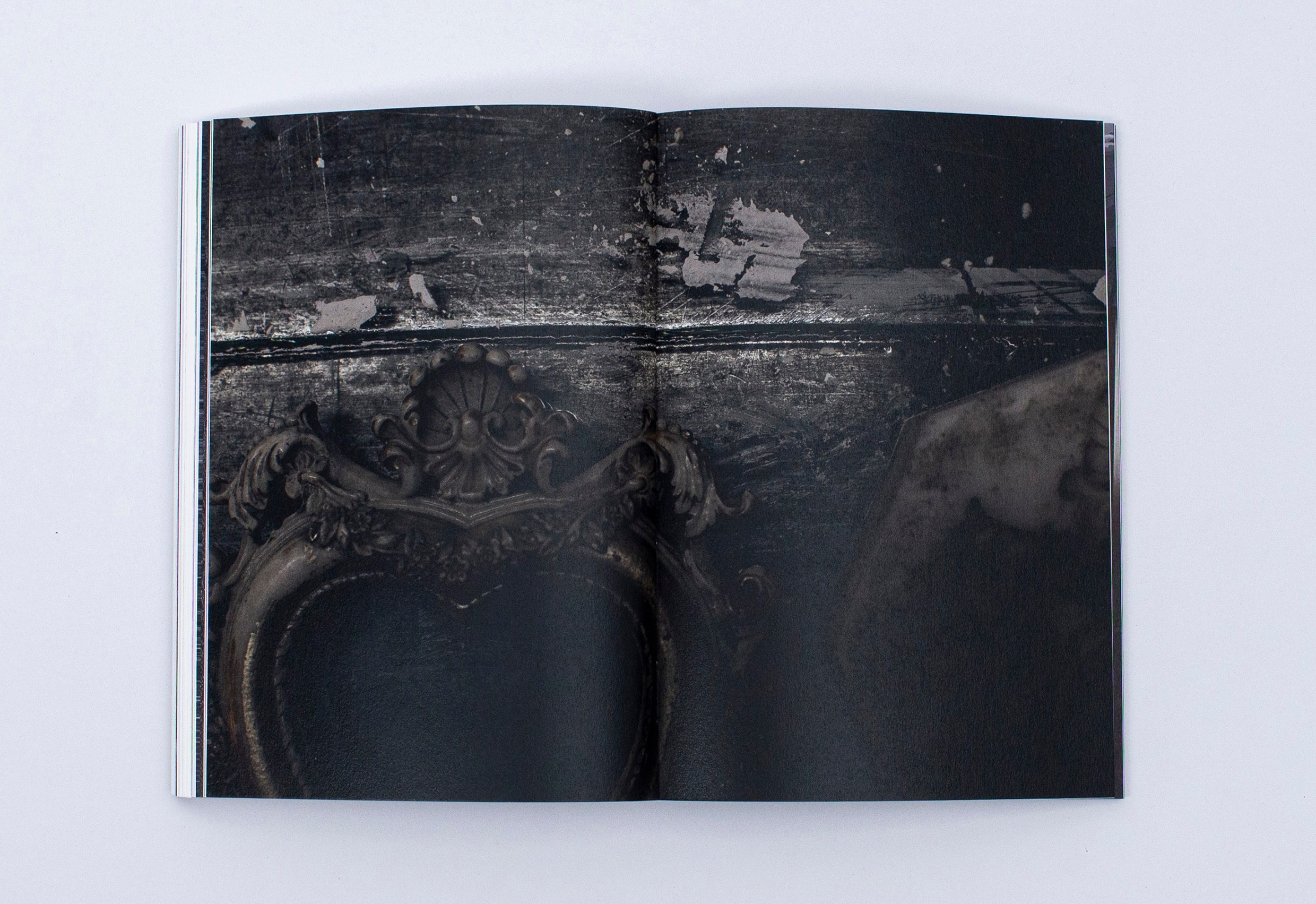 Книга. Фотограф в Москве Алейникова Евгения