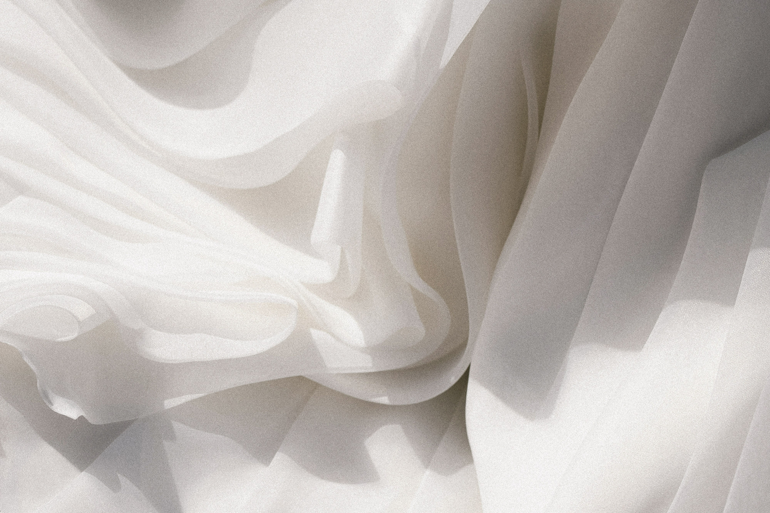 ЕКАТЕРИНА & ЕВГЕНИЙ ` 28.07.24. Maria Startseva Photo