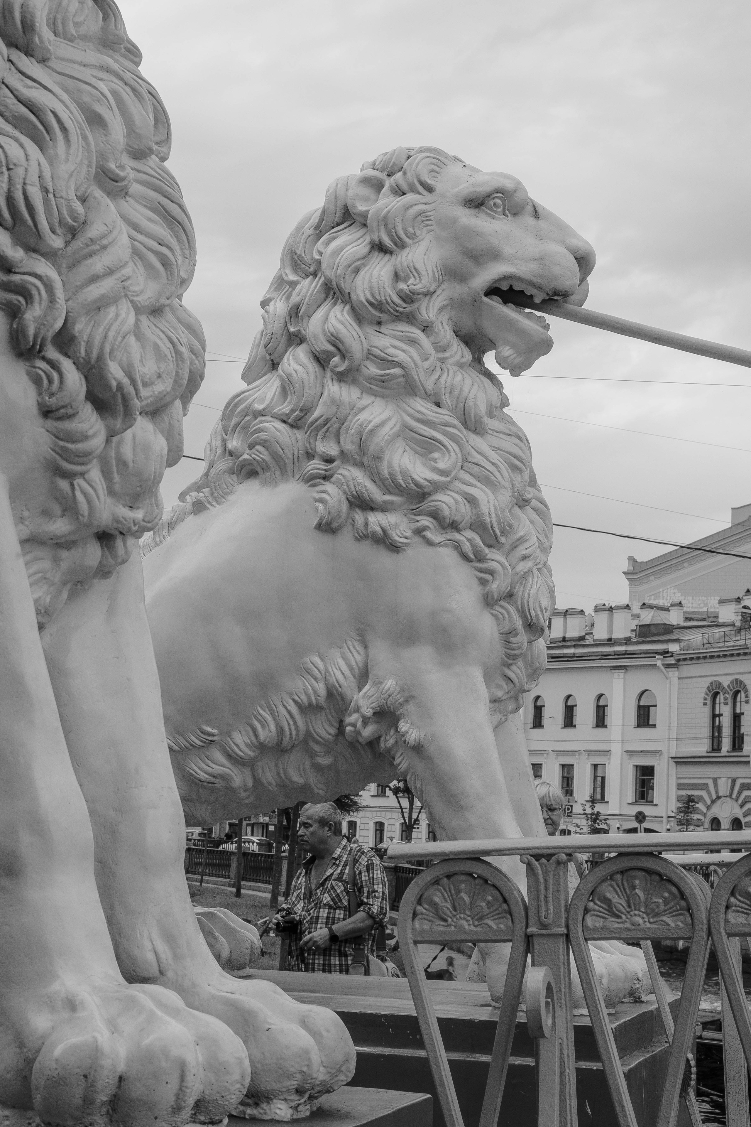 Питер 2024. Свадебный и семейный фотограф в Новосибирске, Санкт-Петербурге, Москве