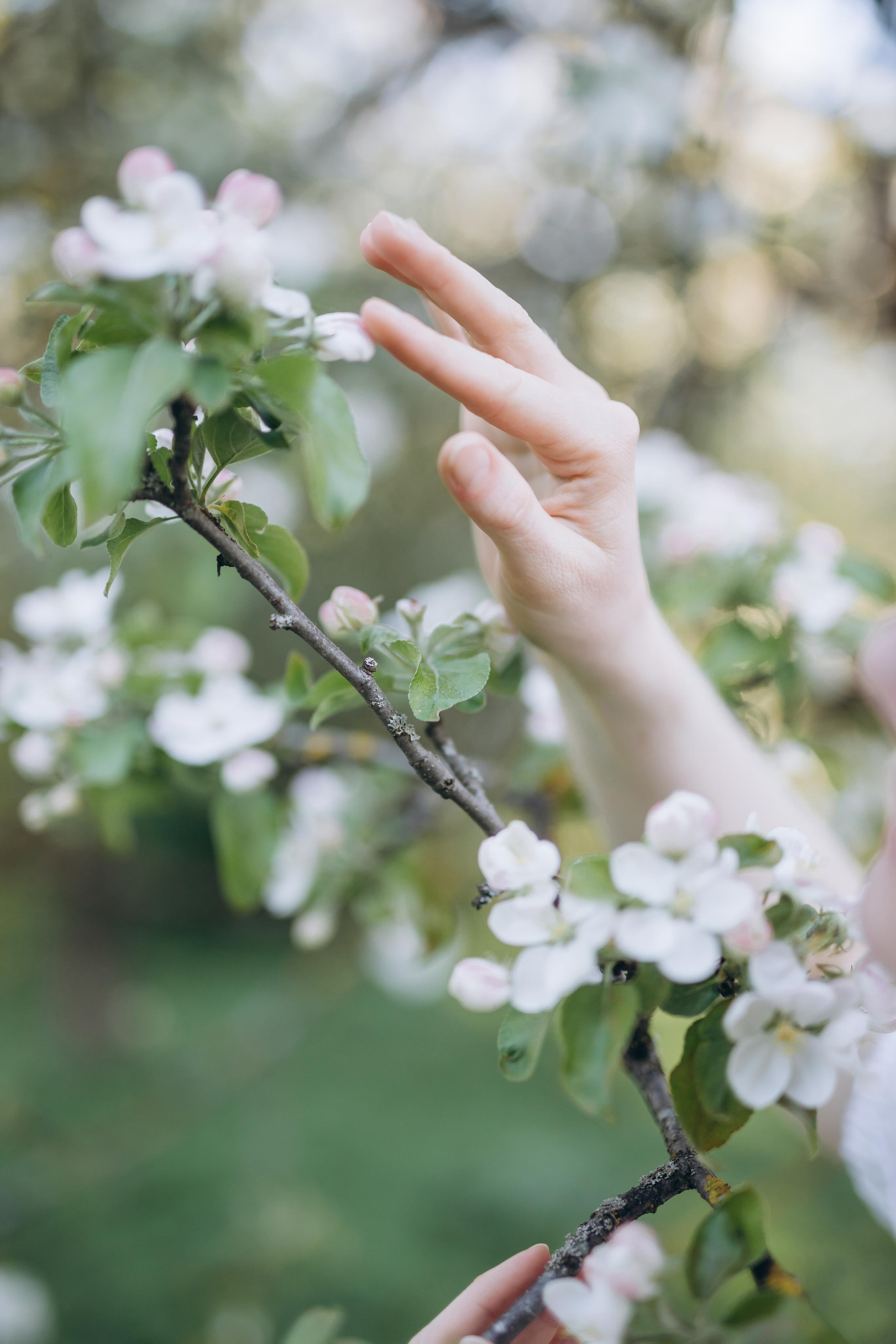 F a i r y. Портретный женский фотограф Минск Беларусь Алена Янович
