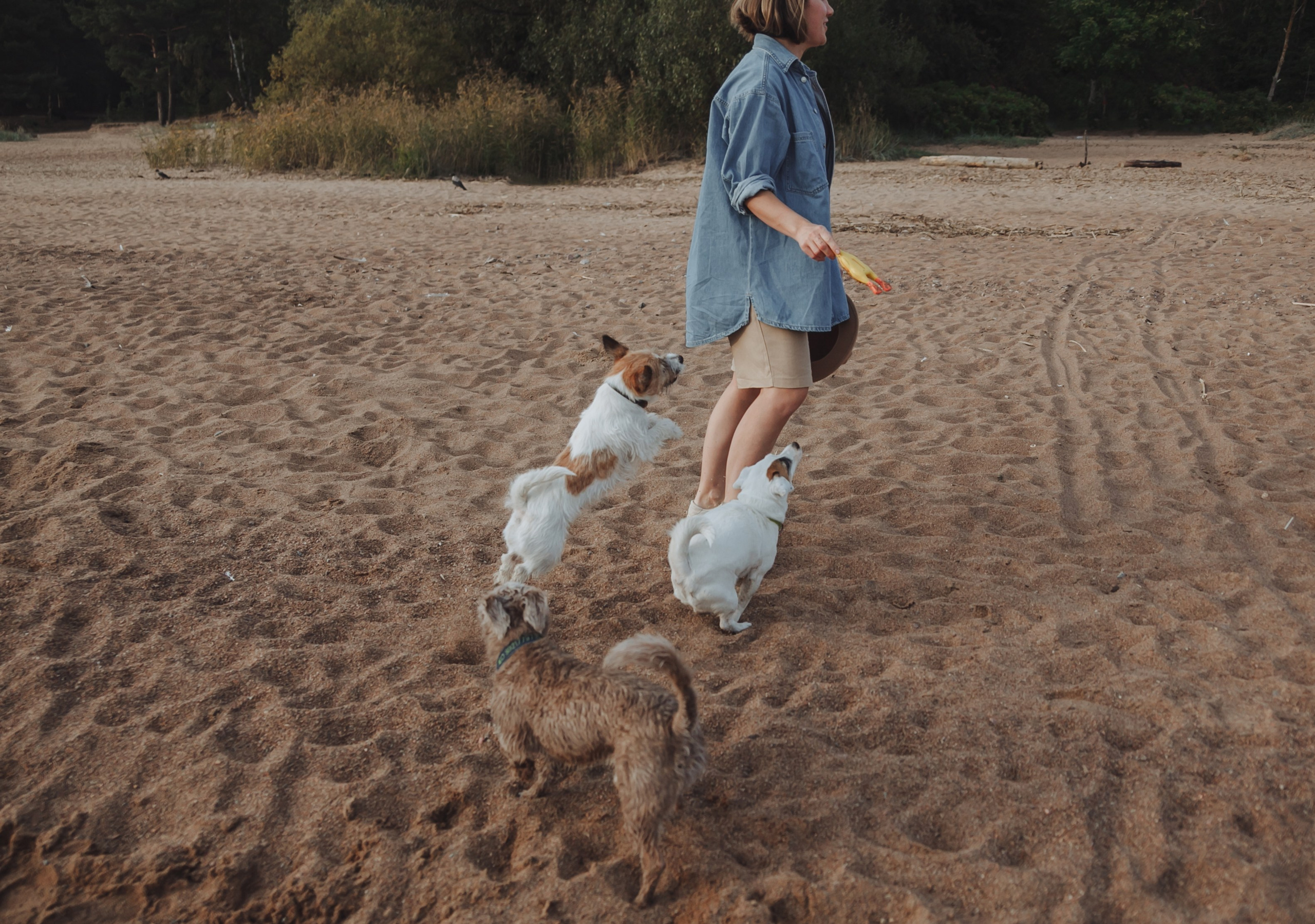 Семейная прогулка с собакой. Семейный фотограф, свадебный фотограф, женский портрет в Санкт-Петербу