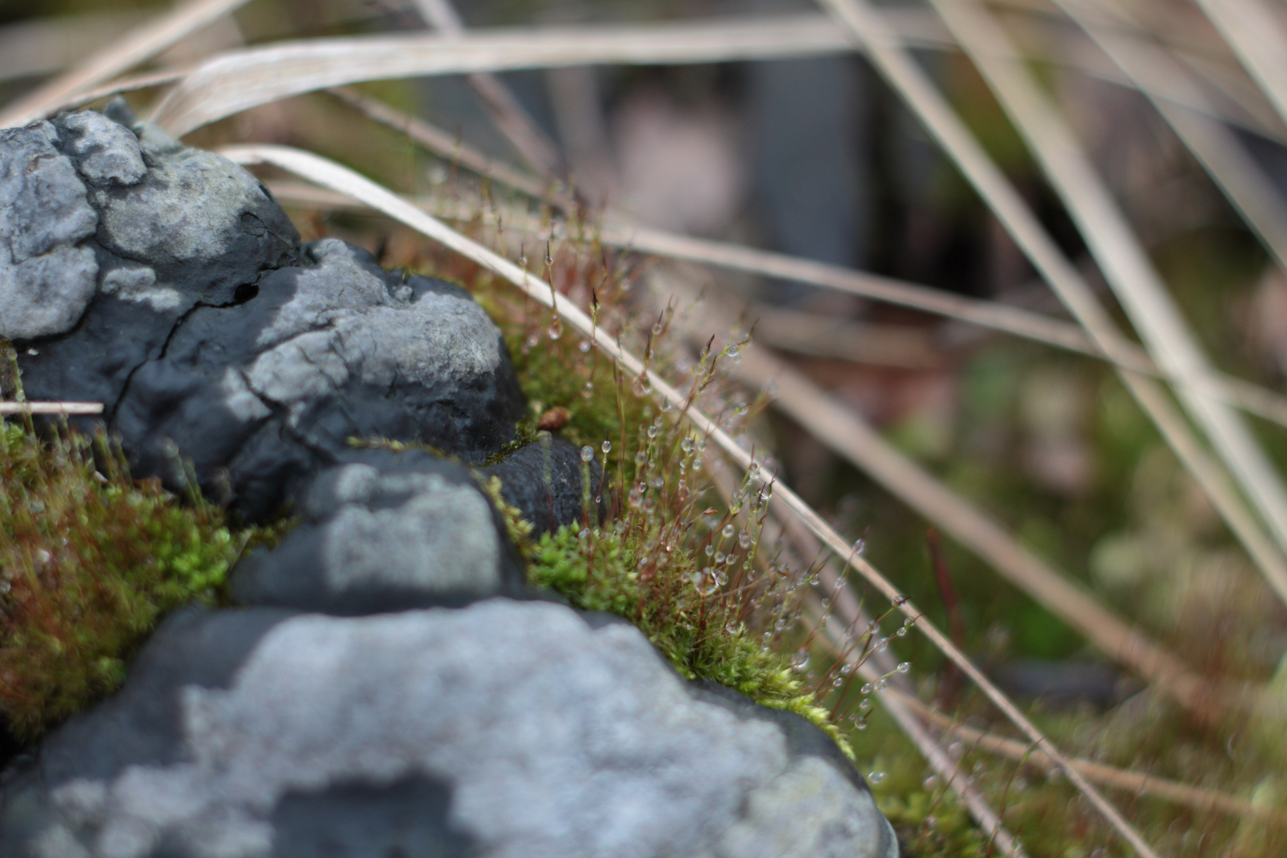 Старое природное, отбирала Katamount (Катерина Горохова). Главная