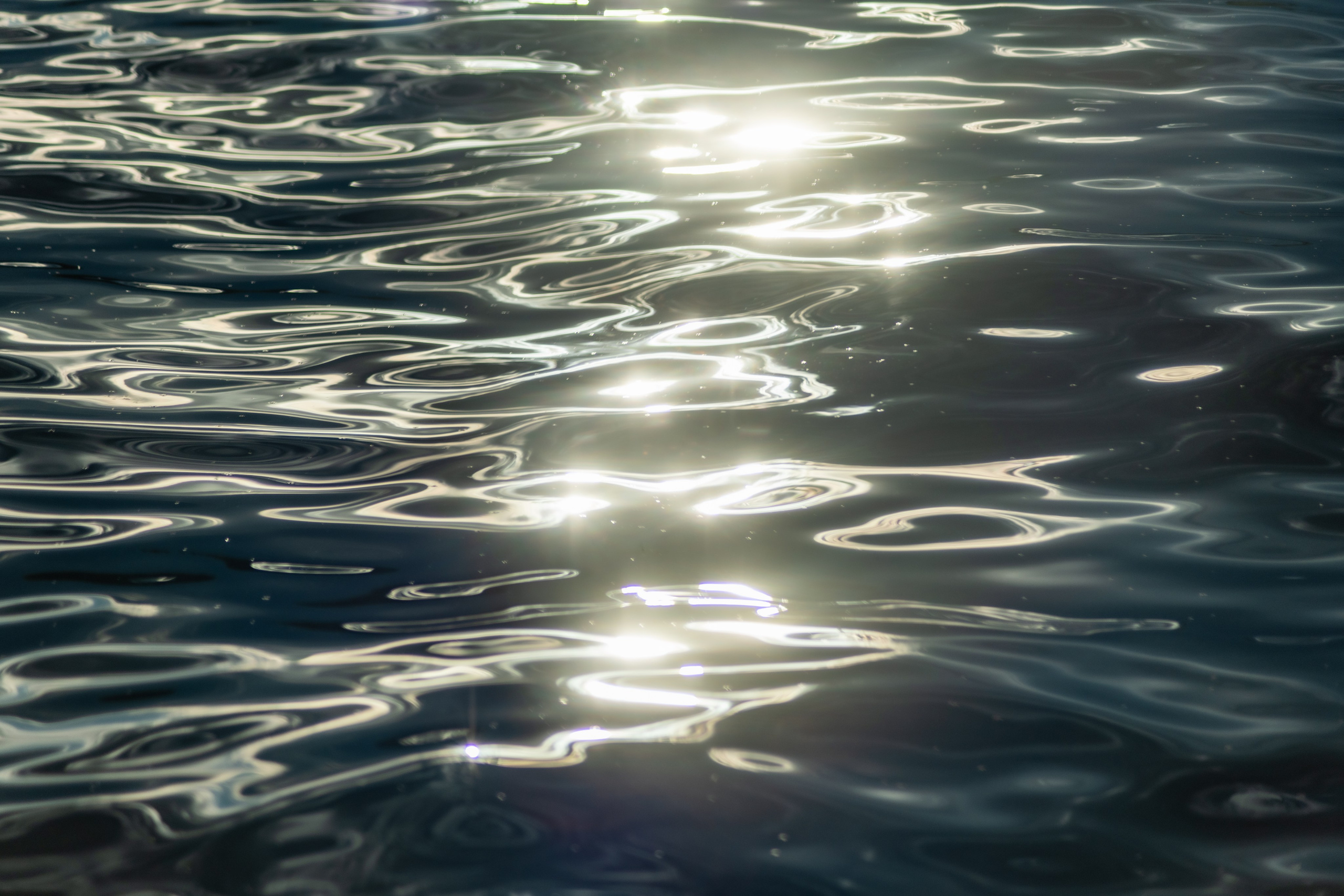 Природа Самарской области в кадре. Дикие степи, Жигулёвские горы и волжские просторы — авторские фотографии уникальных ландшафтов. Фотограф Самара — репортажная, свадебная, интерьерная съёмка от Ильи Петрова, профессионала своего дела