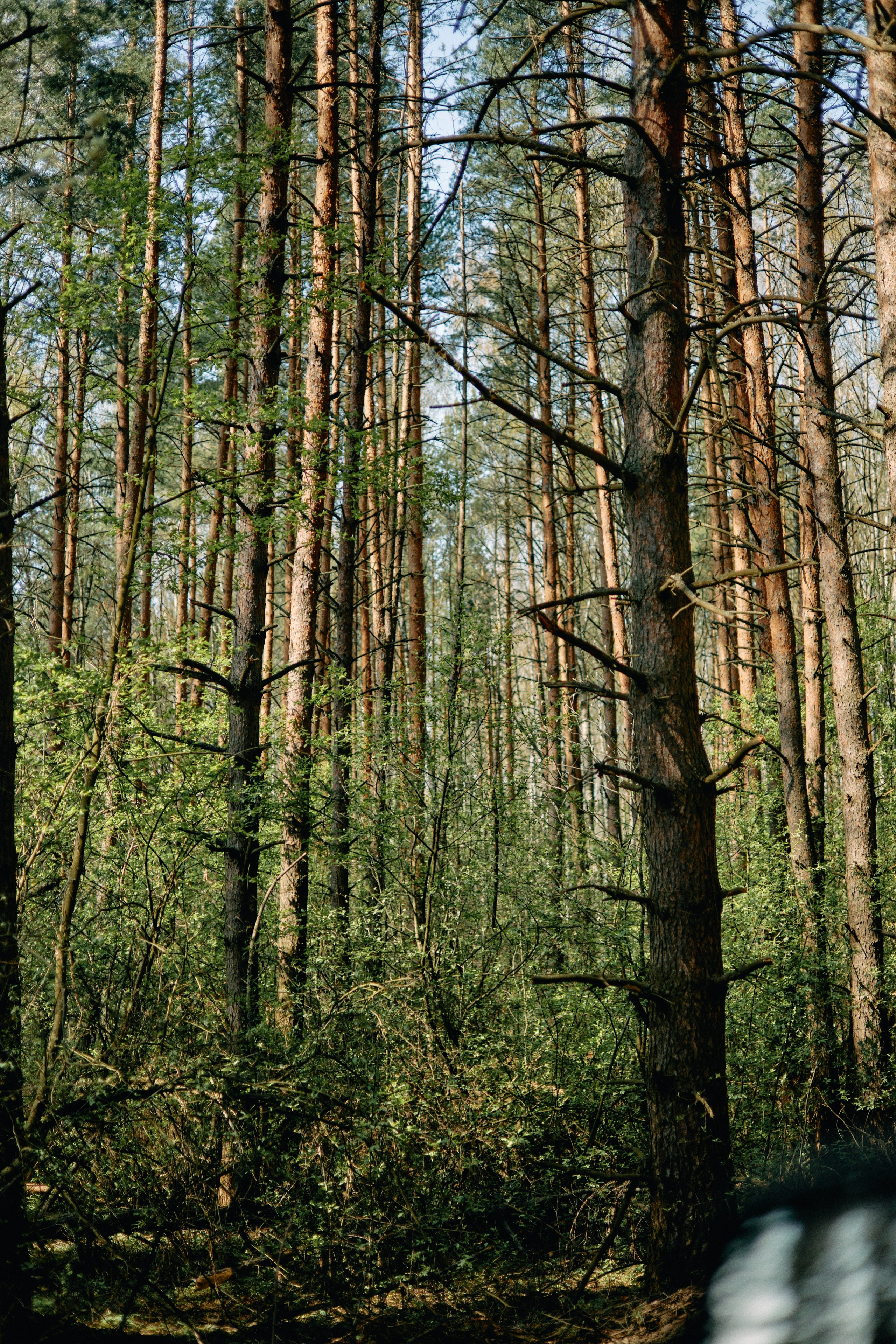 Бутик-отель Поле летом. Профессиональный Фотограф во Владимире, в Москве и в Суздале — Полина Романычева