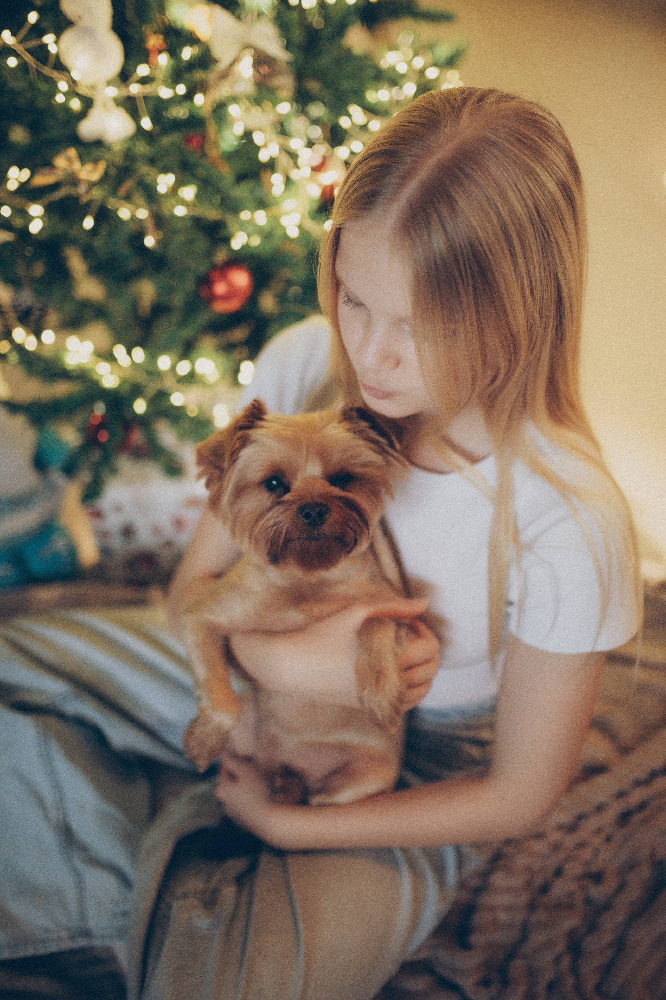 Тася, Соня, Женя и Илья (новогодняя домашняя). Фотограф, г. Лесной Свердловской области