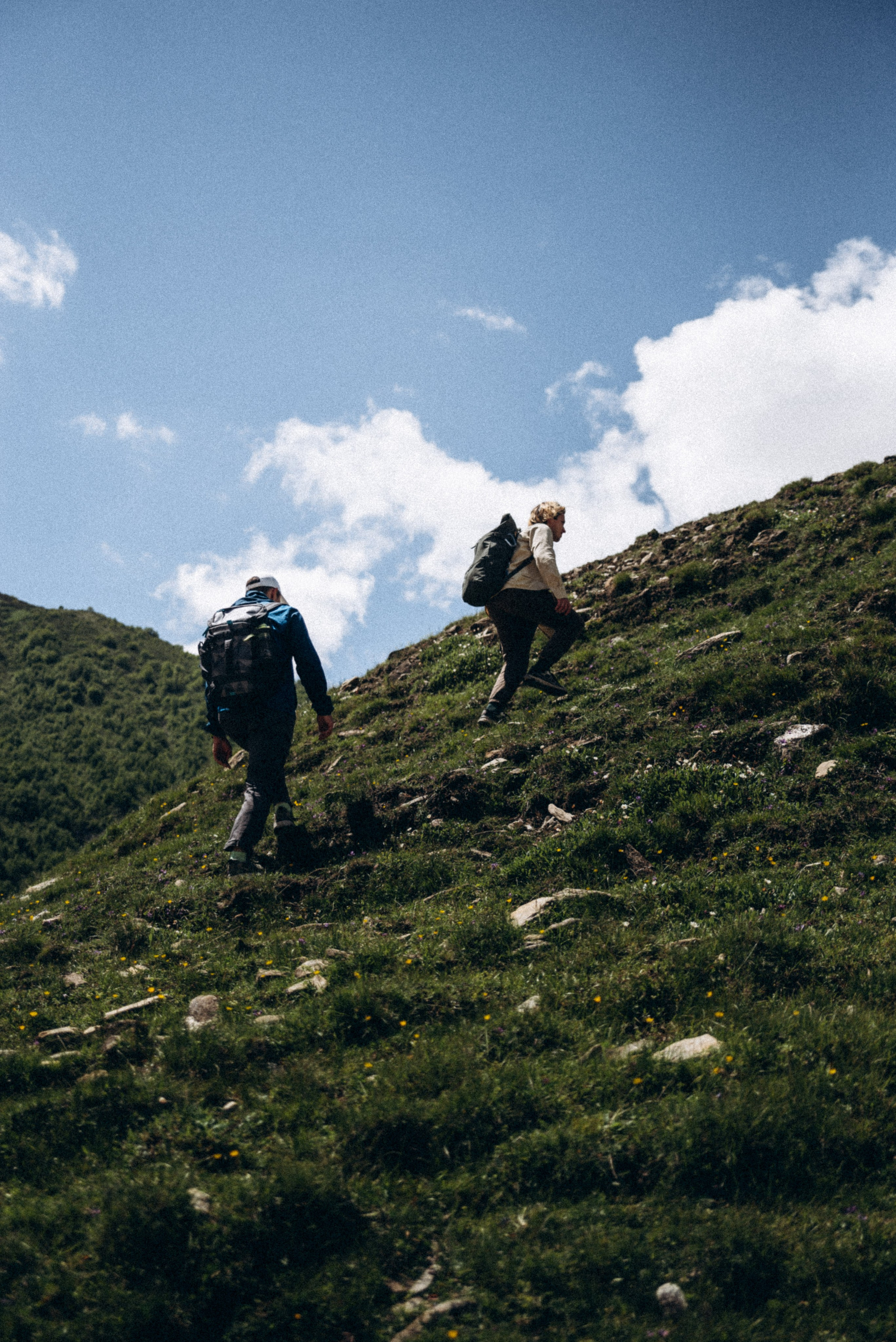 Долина Трусо, Грузия🇬🇪«Honey Trip». Anita_photo