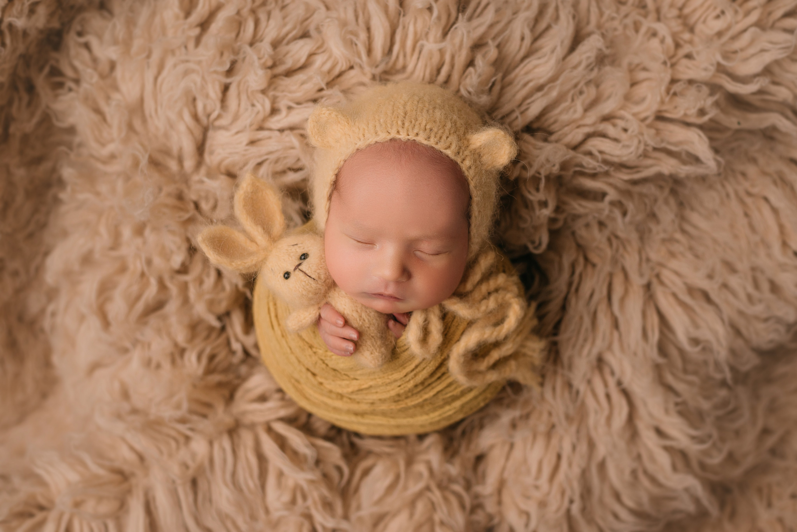 Лев. Фотограф новорожденных Белгород