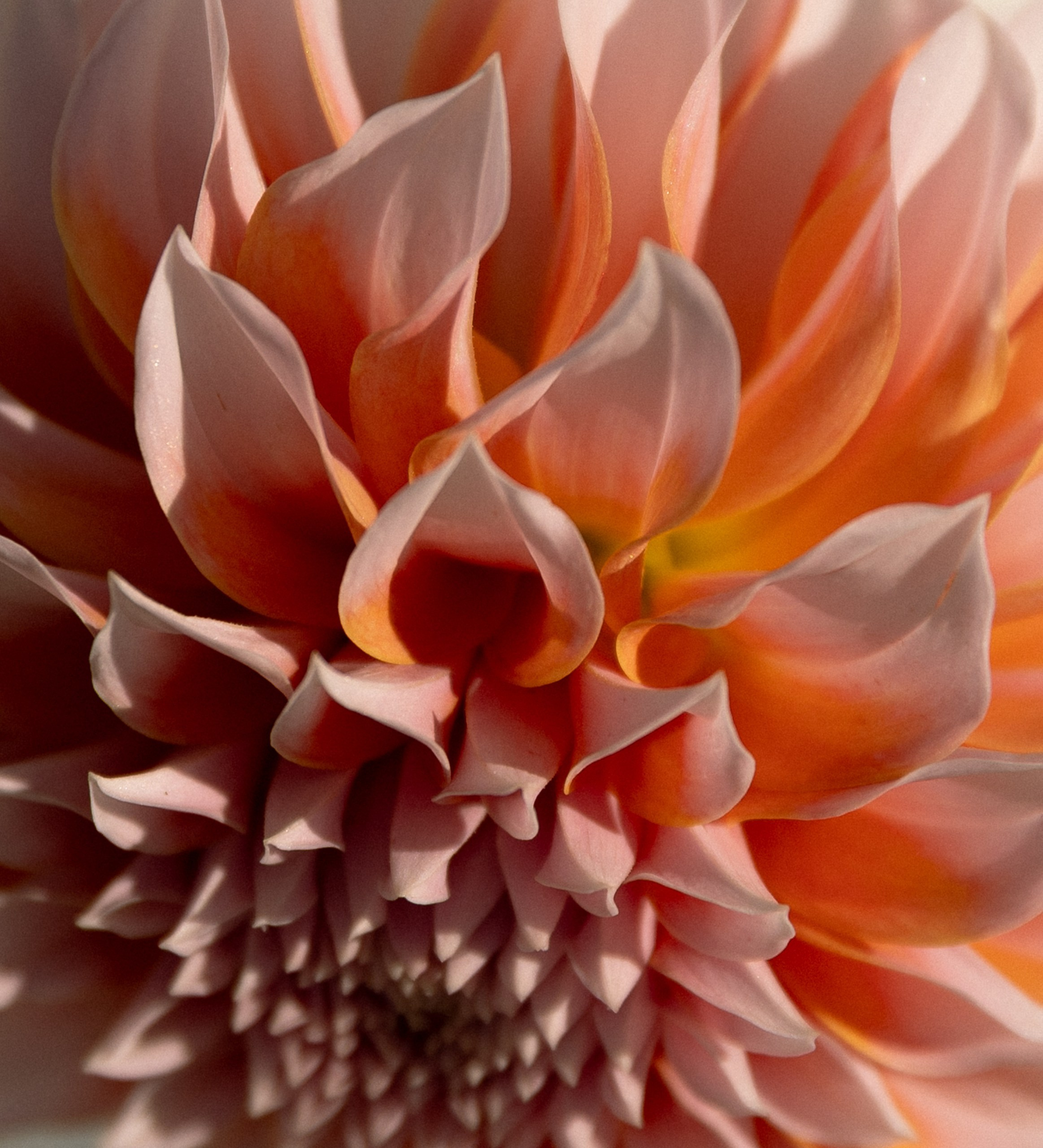 Фото: Ксения Вакуленко