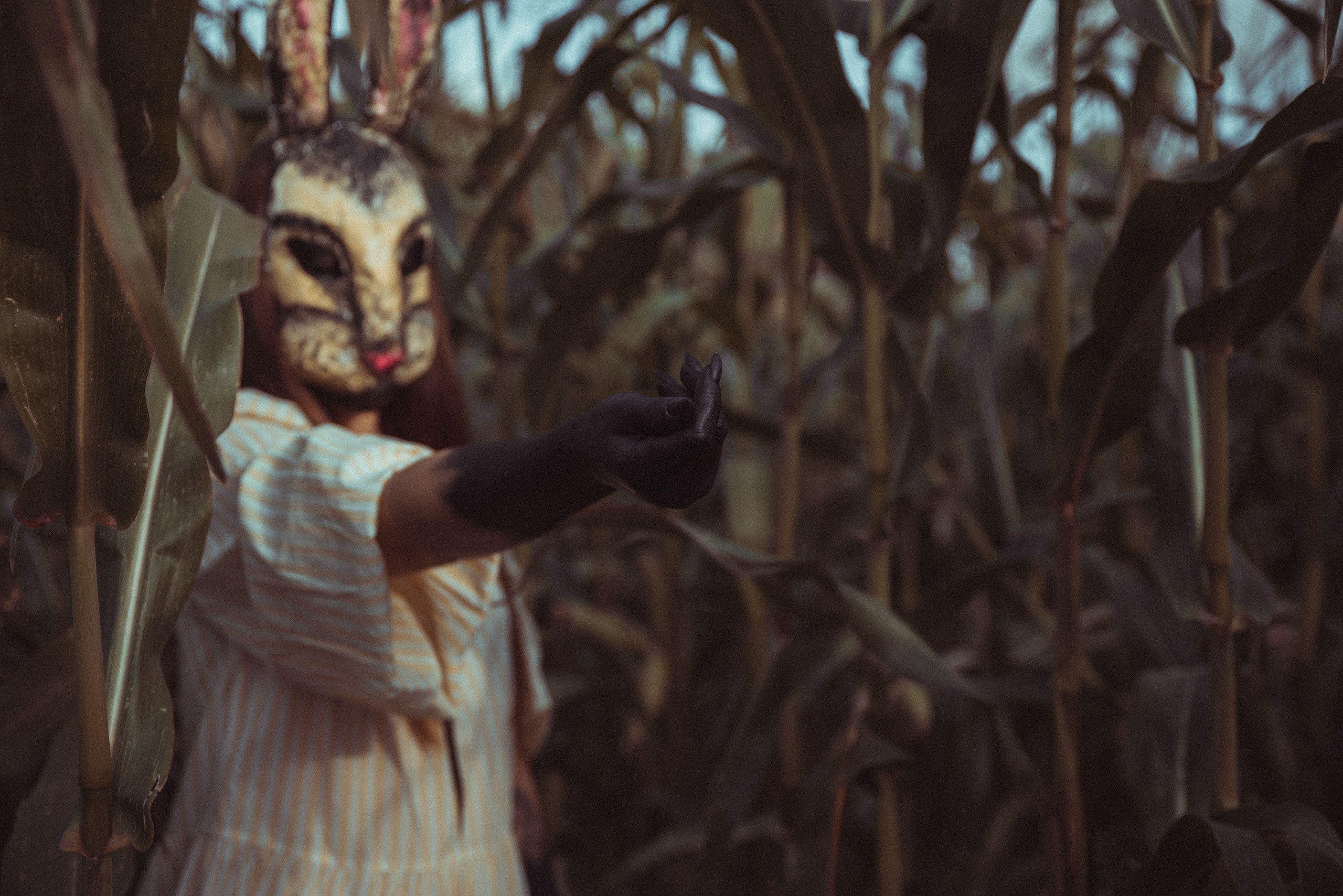 Кроличья нора. Фотограф Евгения Хализова Воскресенск, Москва, МО