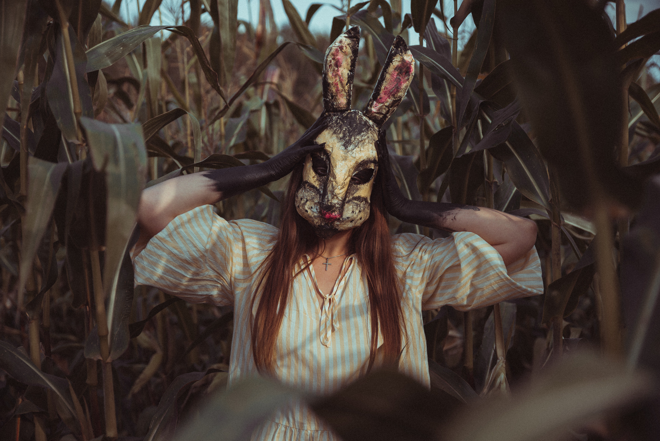 Кроличья нора. Фотограф Евгения Хализова Воскресенск, Москва, МО