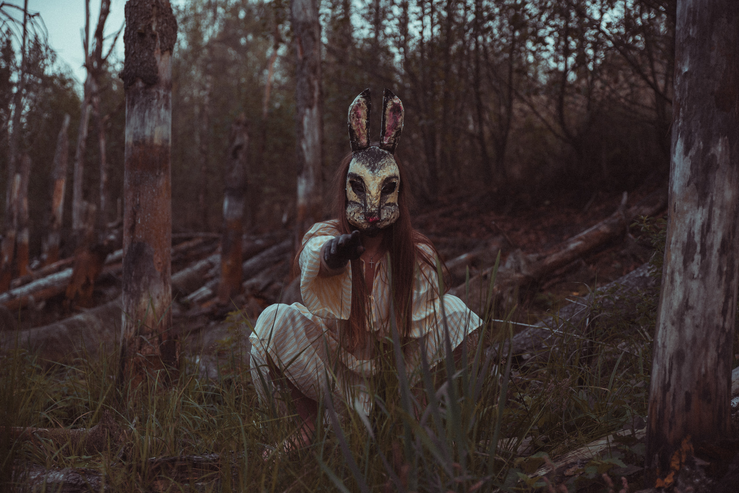 Кроличья нора. Фотограф Евгения Хализова Воскресенск, Москва, МО