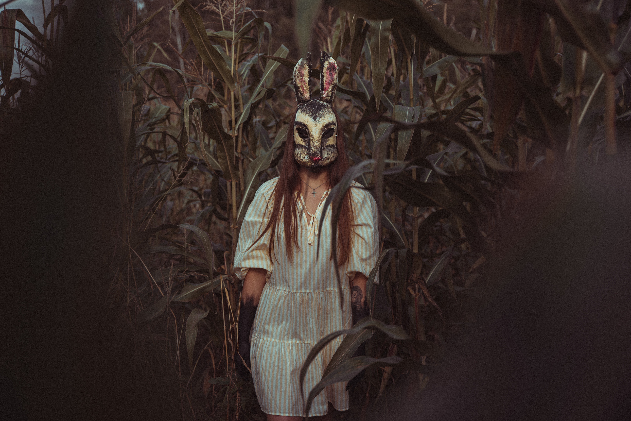 Кроличья нора. Фотограф Евгения Хализова Воскресенск, Москва, МО