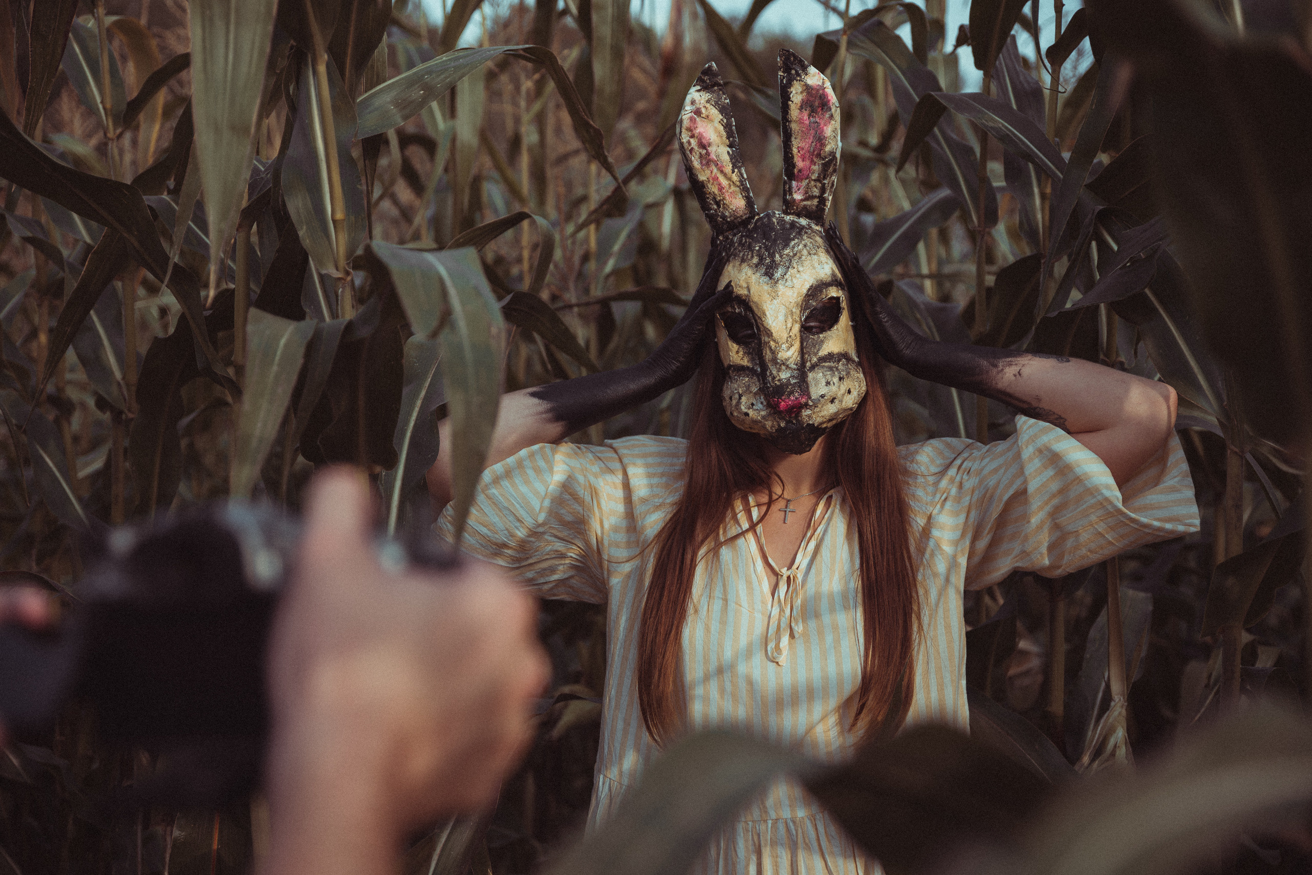 Кроличья нора. Фотограф Евгения Хализова Воскресенск, Москва, МО