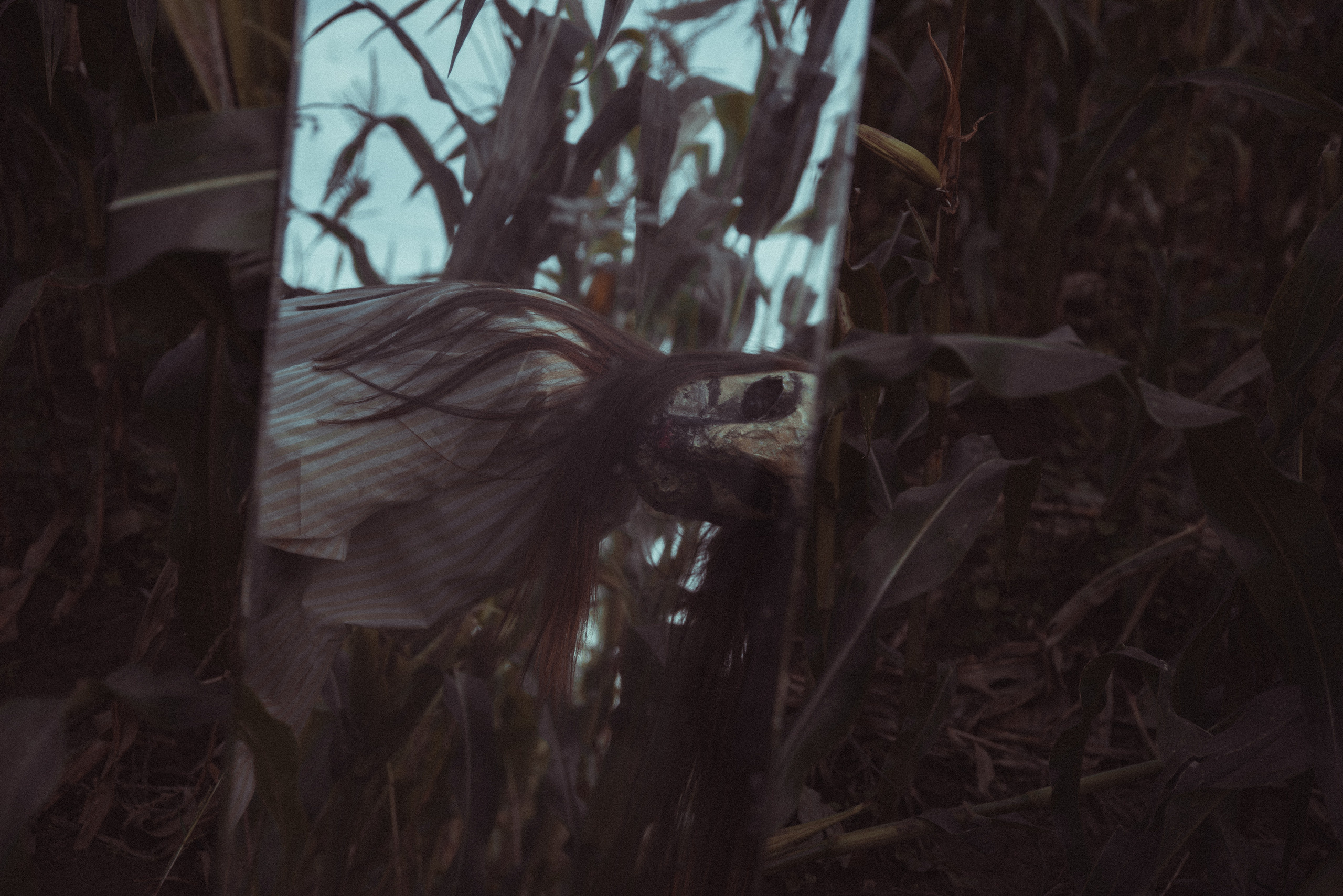 Кроличья нора. Фотограф Евгения Хализова Воскресенск, Москва, МО