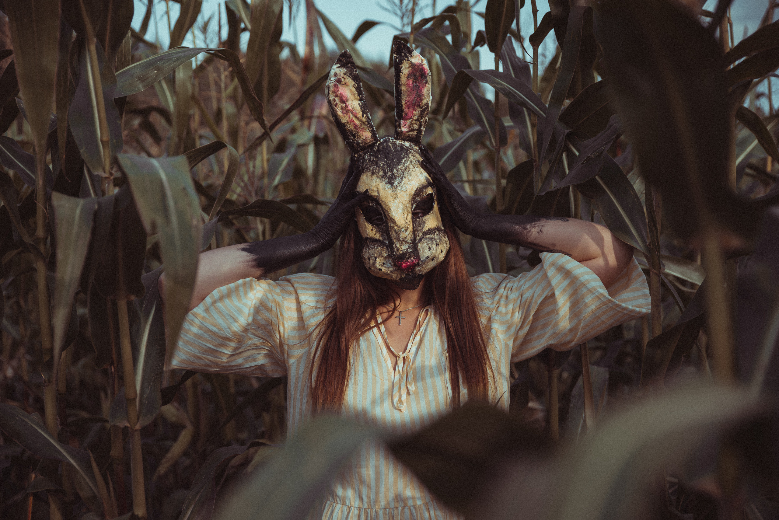 Кроличья нора. Фотограф Евгения Хализова Воскресенск, Москва, МО