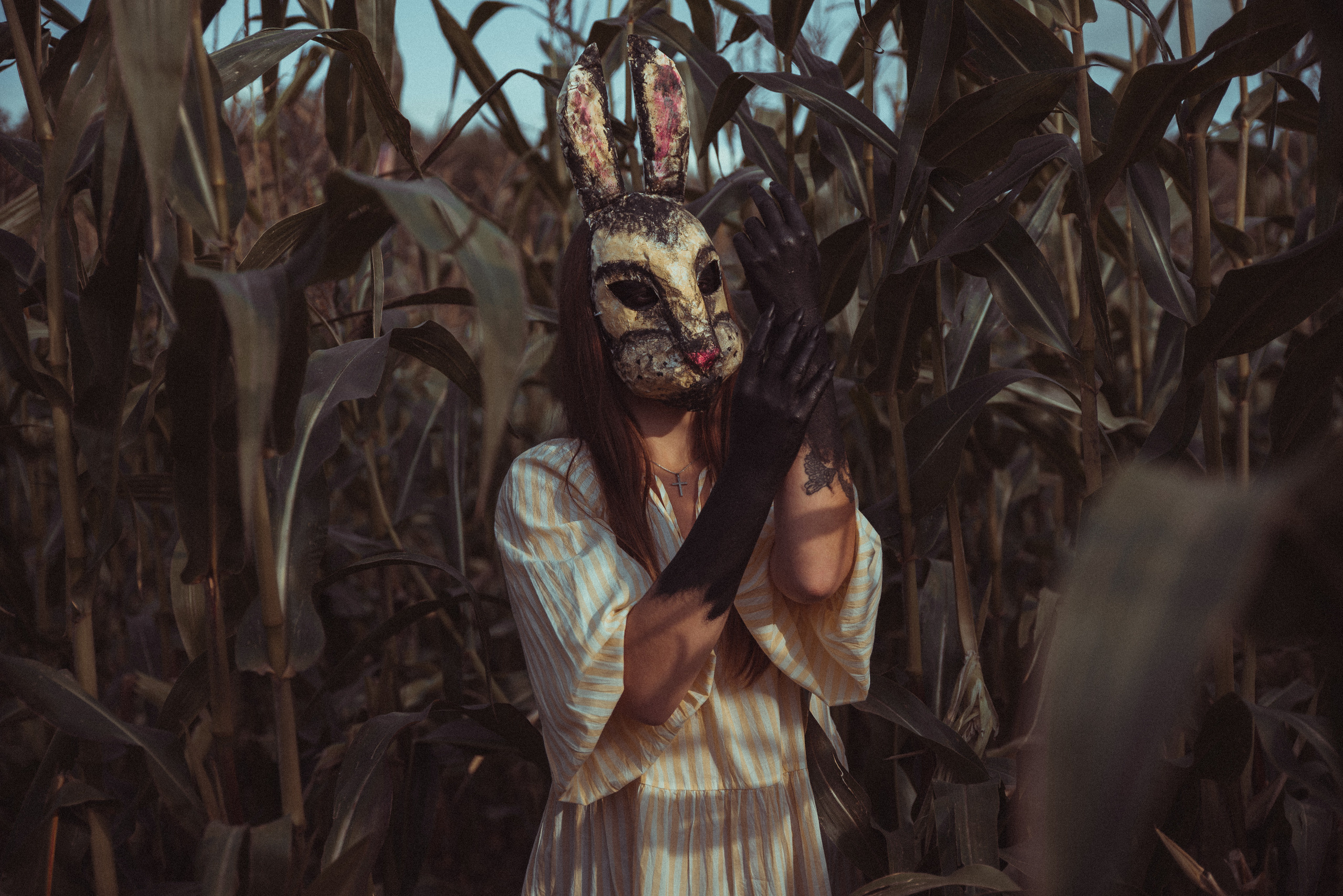 Кроличья нора. Фотограф Евгения Хализова Воскресенск, Москва, МО