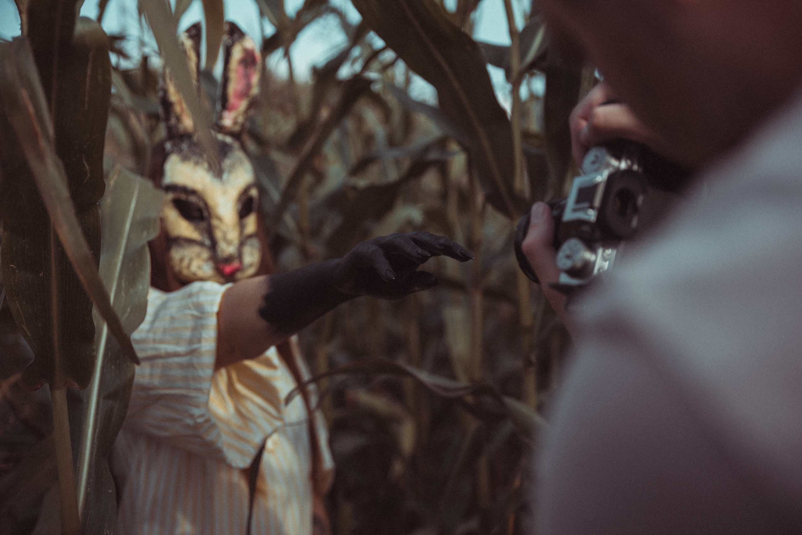 Кроличья нора. Фотограф Евгения Хализова Воскресенск, Москва, МО