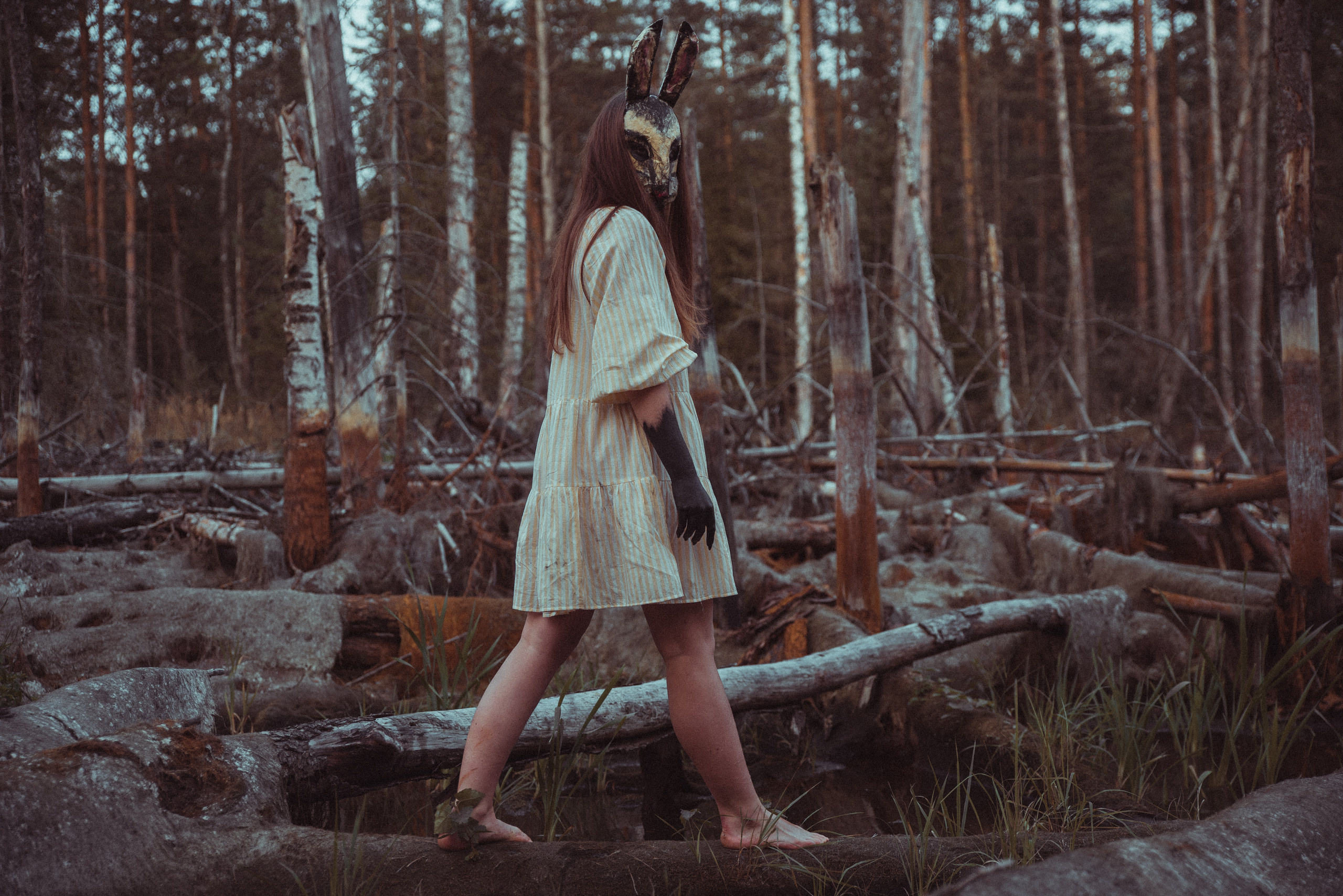 Кроличья нора. Фотограф Евгения Хализова Воскресенск, Москва, МО