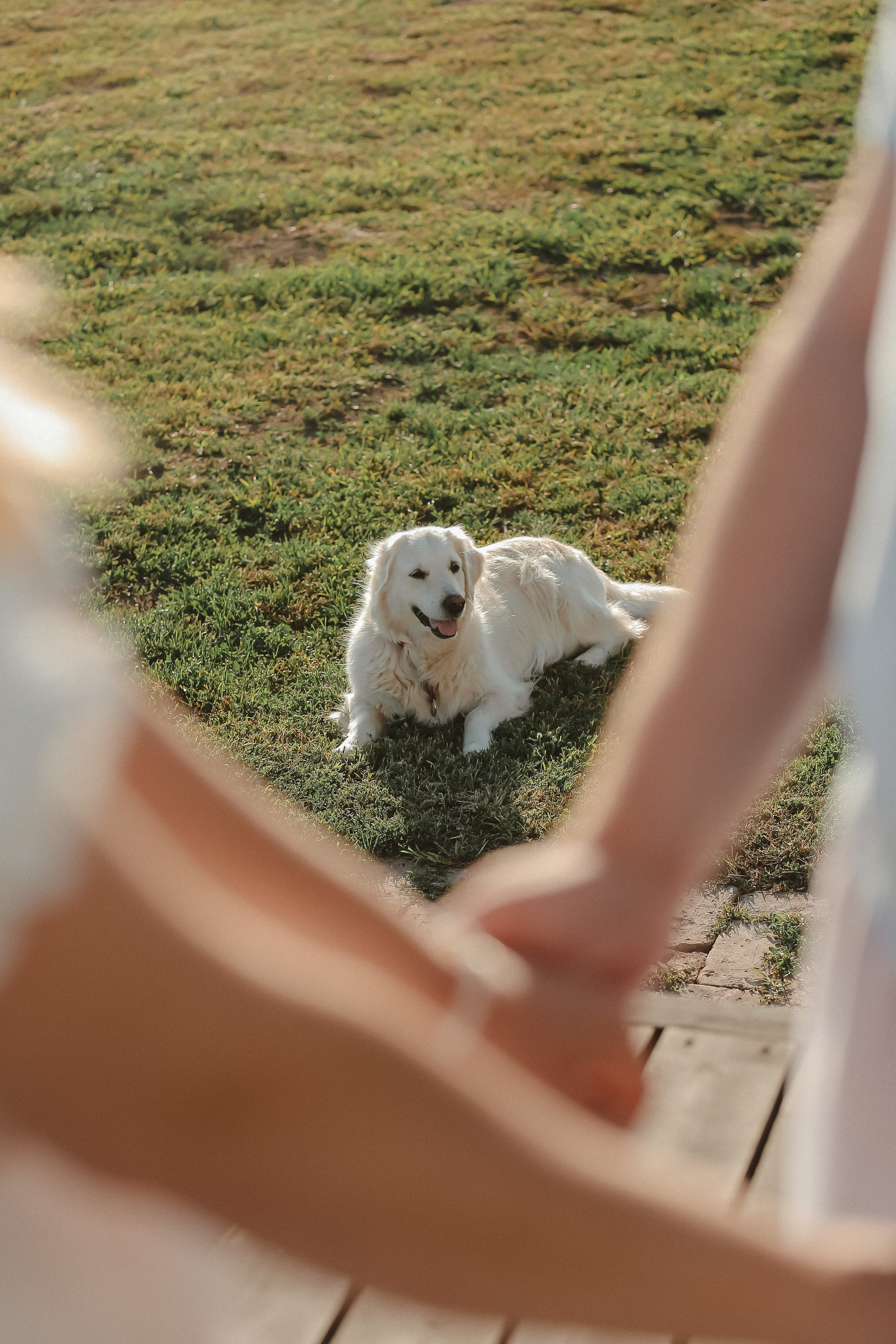 ПРЕДЛОЖЕНИЕ. Фото и Видео в Краснодаре Verveyko Studio
