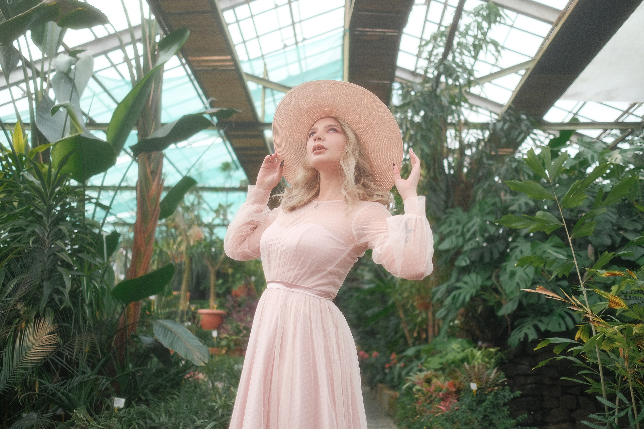 Greenhouse. Aleksandr Schafft