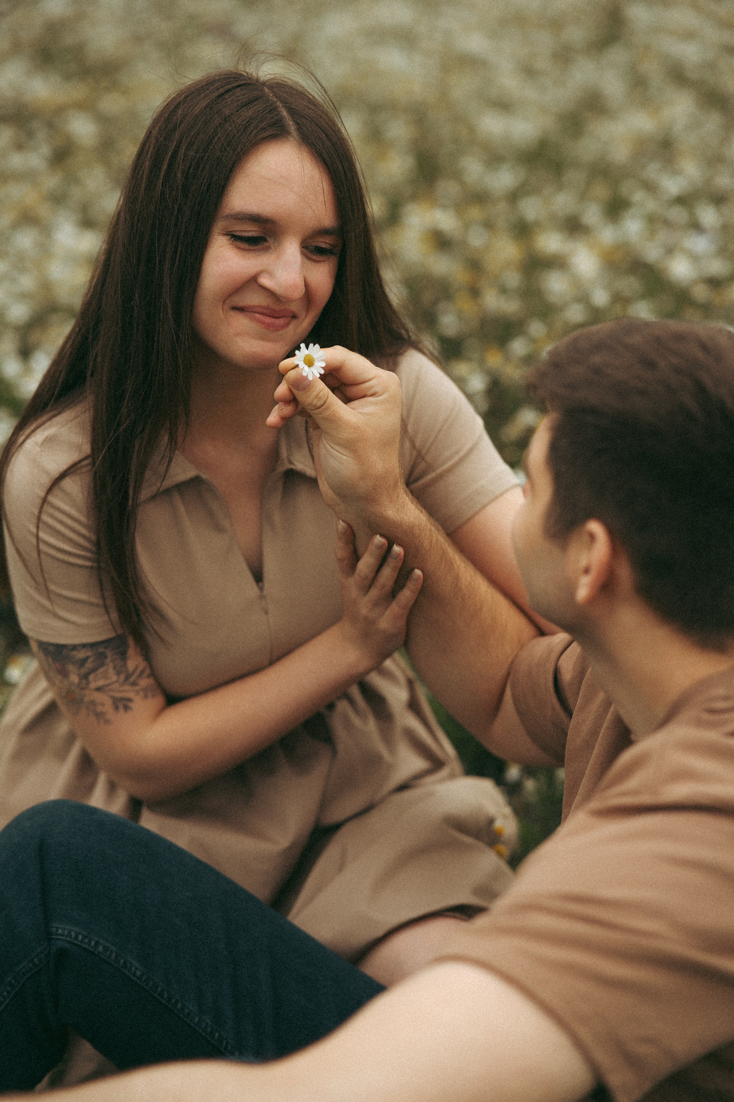 Ромашки. Фотограф Мария Зайчик