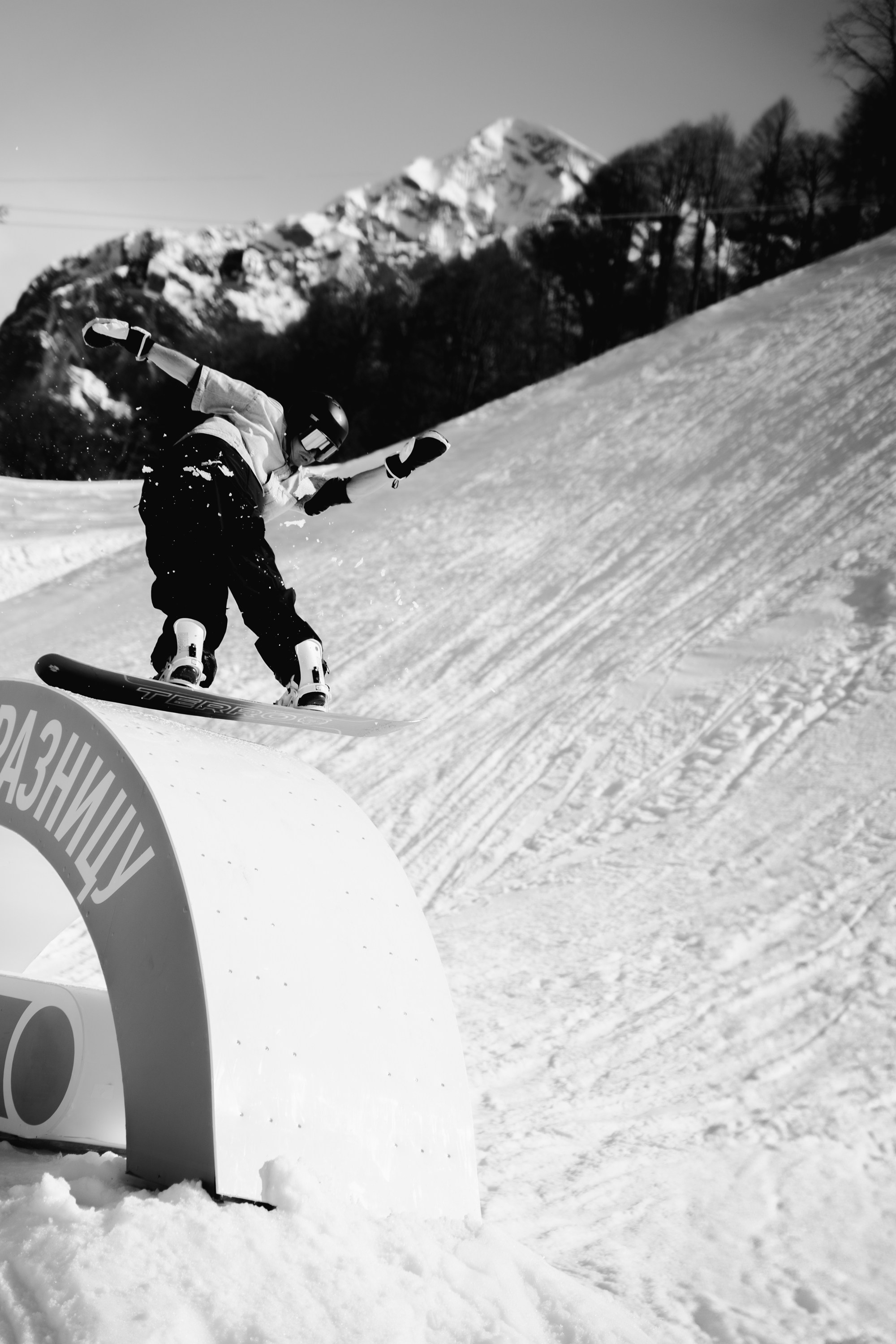 Yandex 360 & NewStarCamp