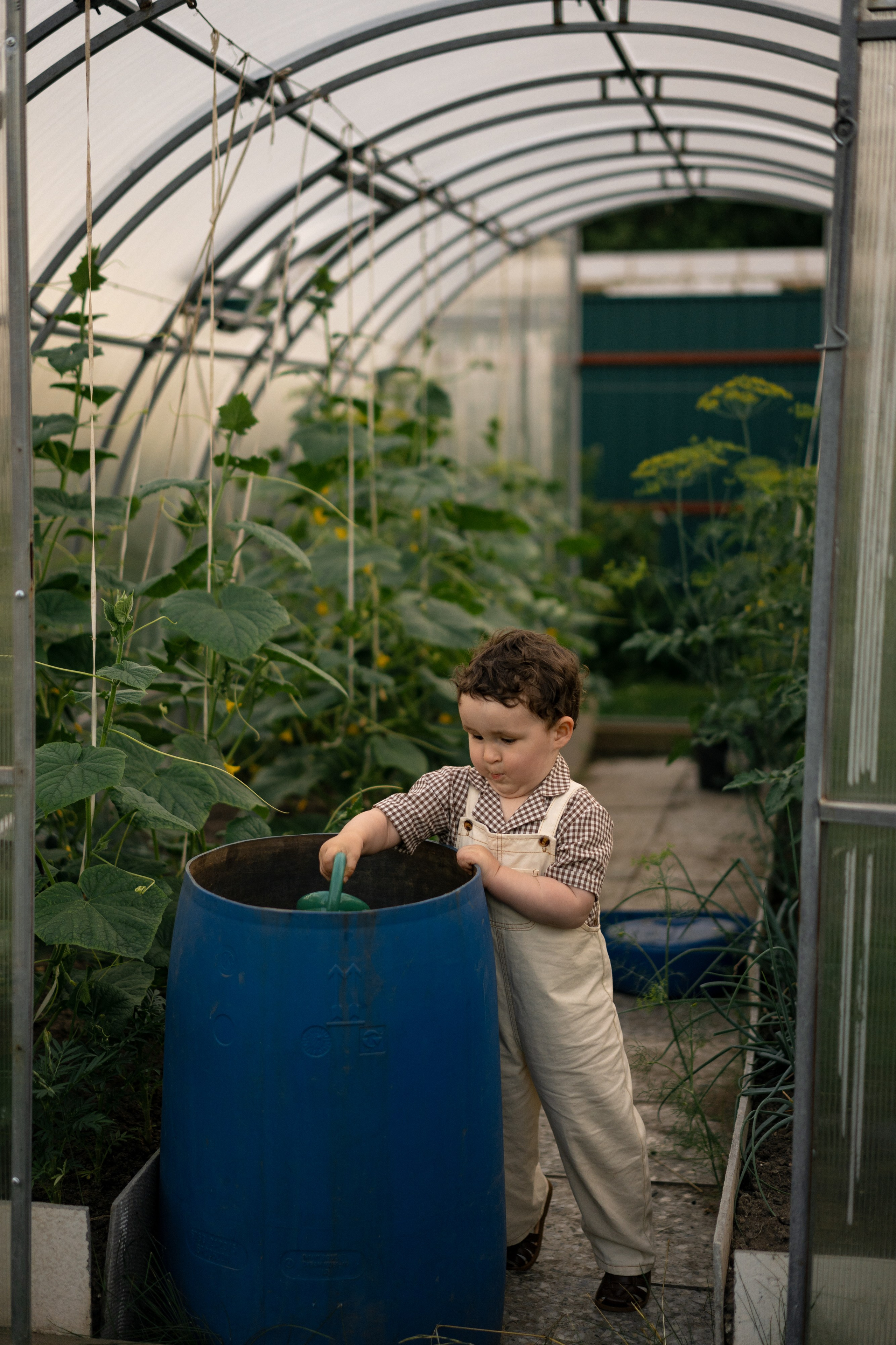 Family. Фотограф Офимкин Антон