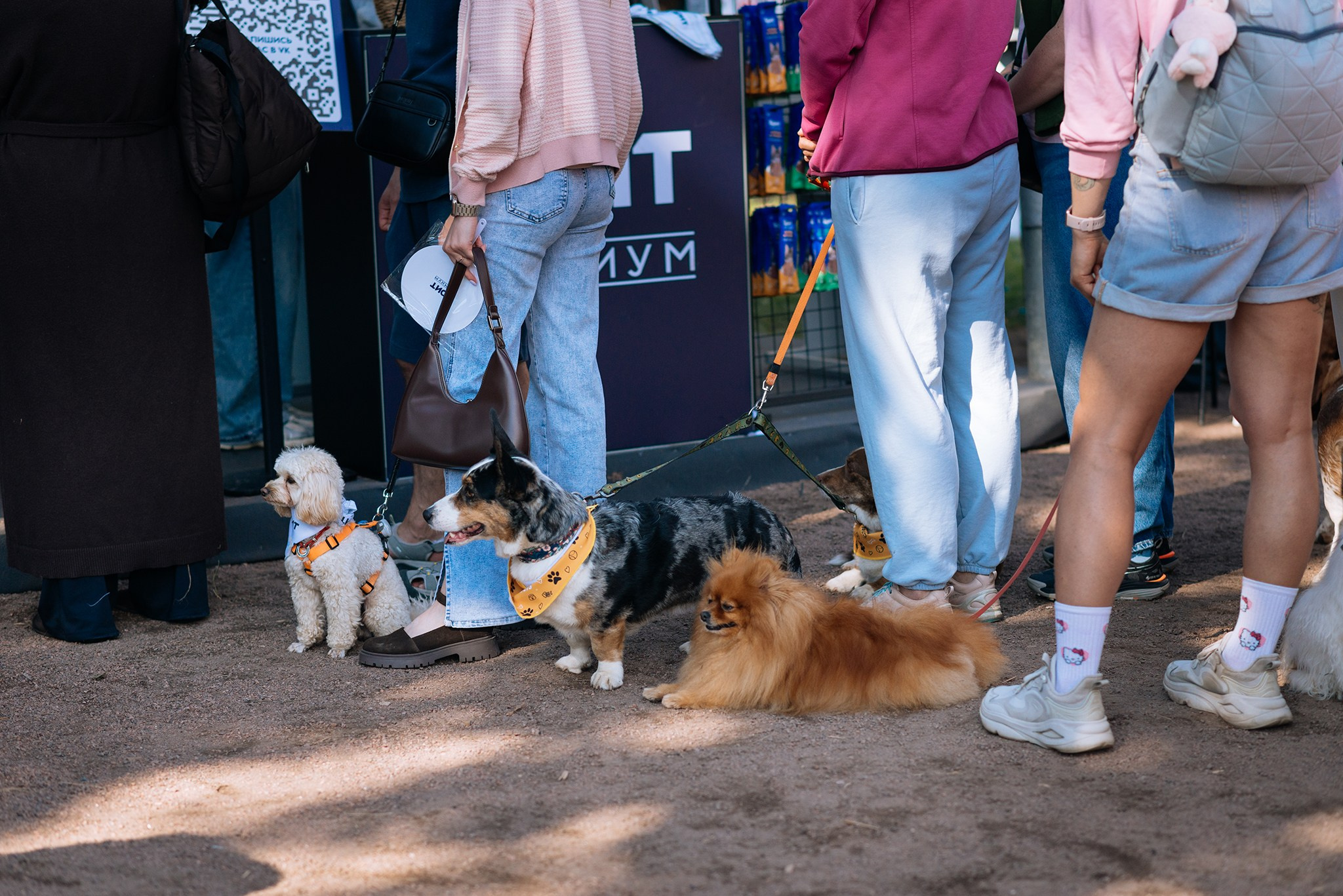 PETSHOP DAYS. Июнь 26. Репортажный фотограф в Санкт-Петербурге Анастасия Клёпова