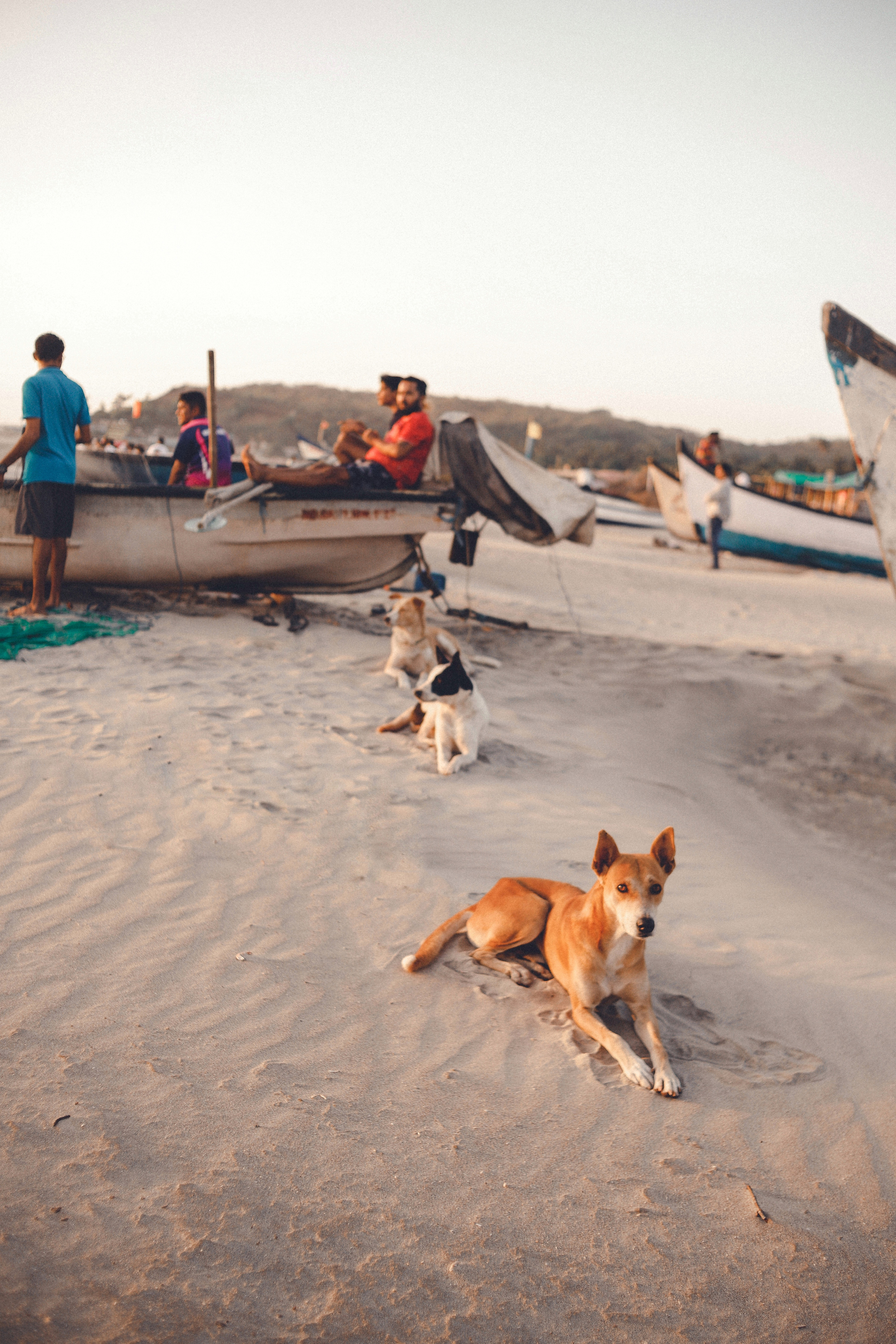 Индия. Атмосферный фотограф Москва