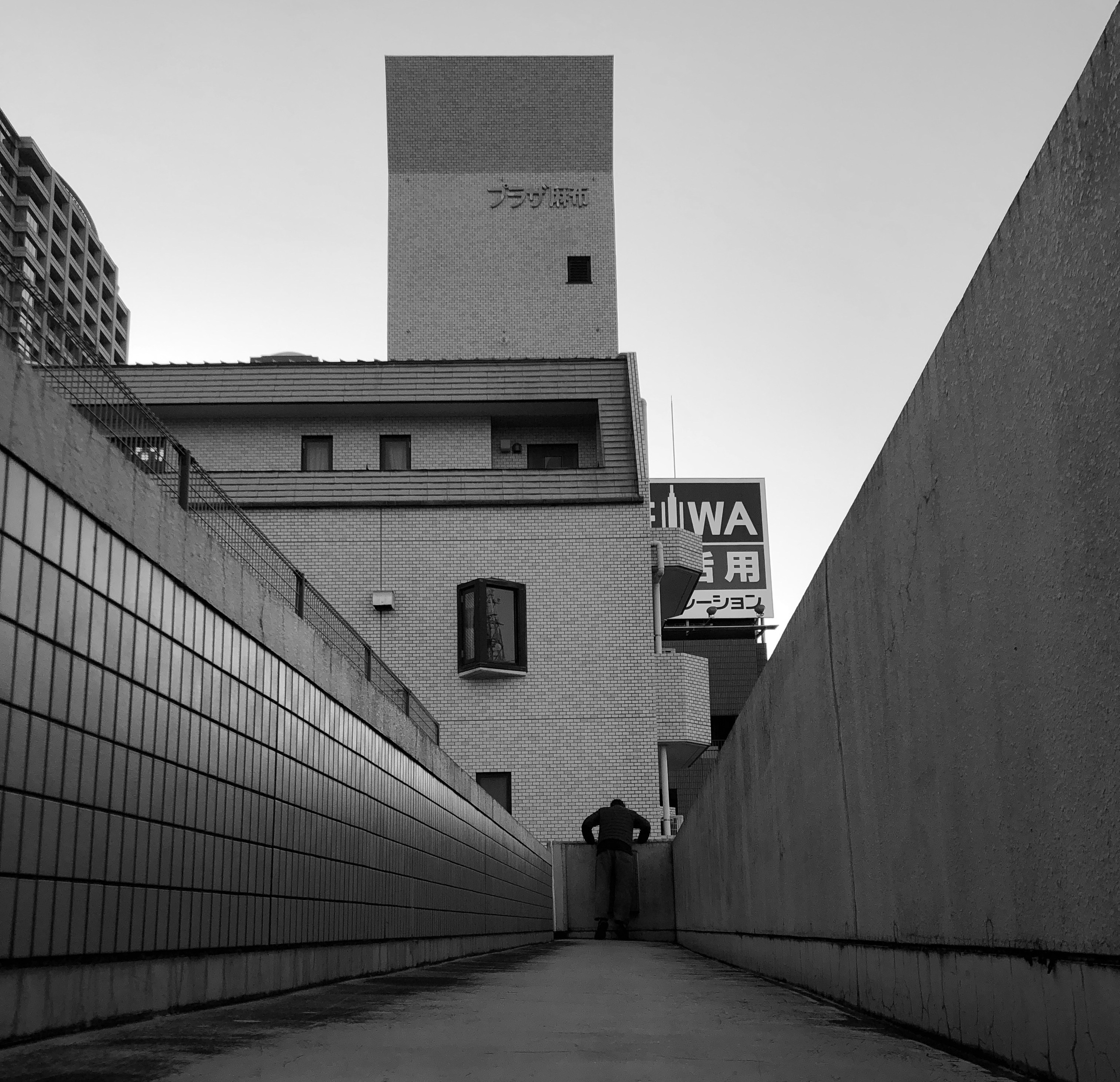 Кисловодск — Токио. Смотри, красота!