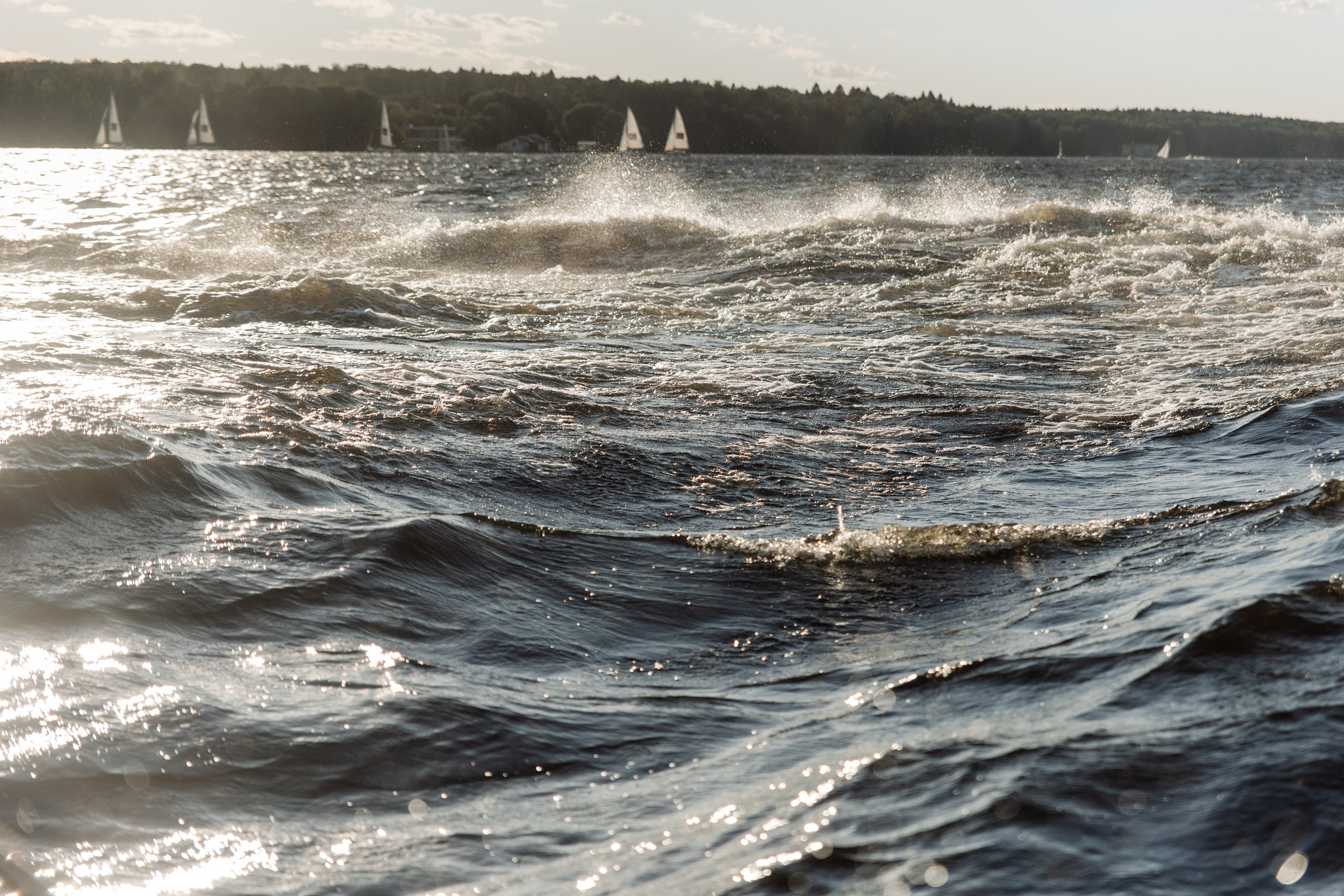 Корпоративный репортаж. Репортажный фотограф. Москва. Алина Ланская